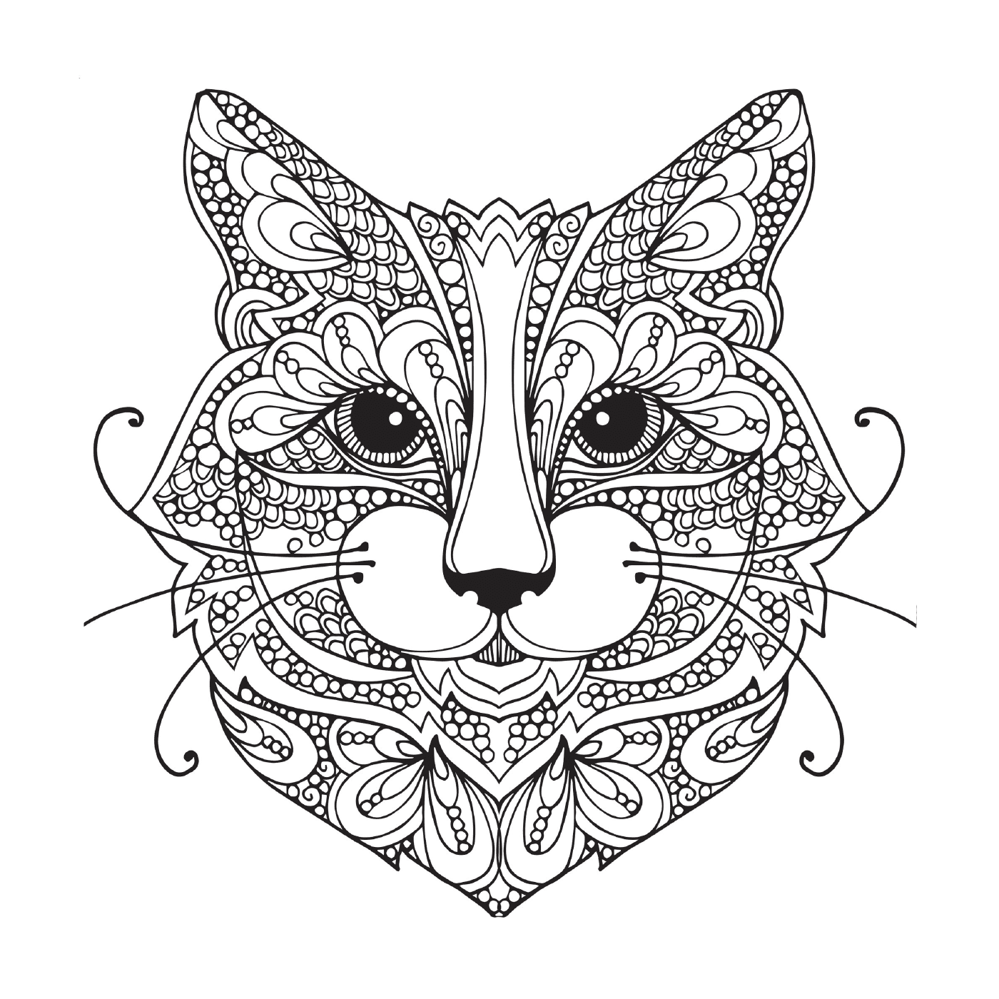  Gato com padrões ornamentais no rosto 