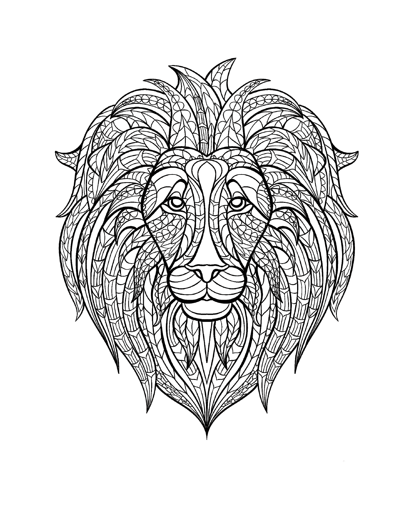  Cabeça de leão com um padrão no rosto 