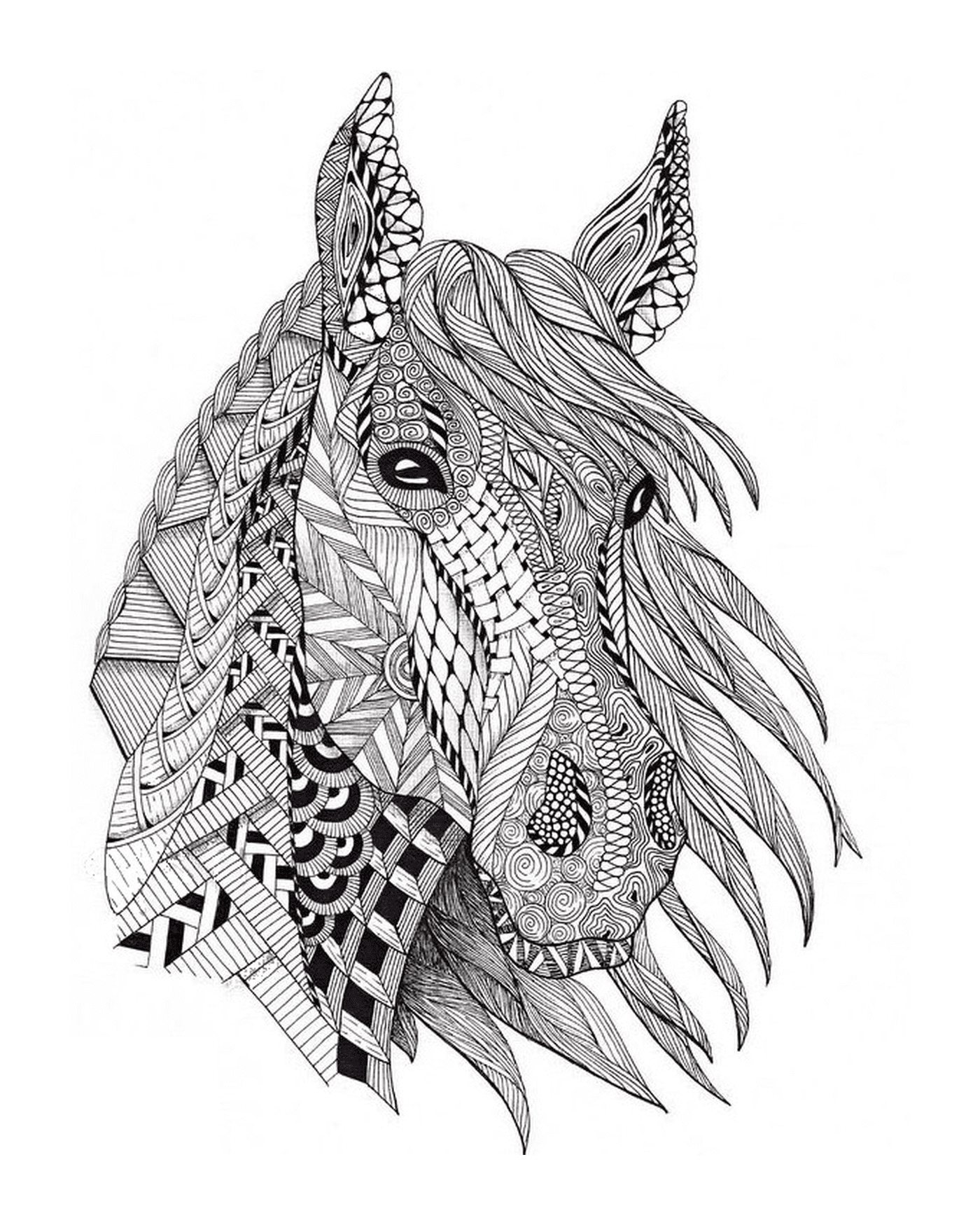  A cabeça de um cavalo com vários padrões 