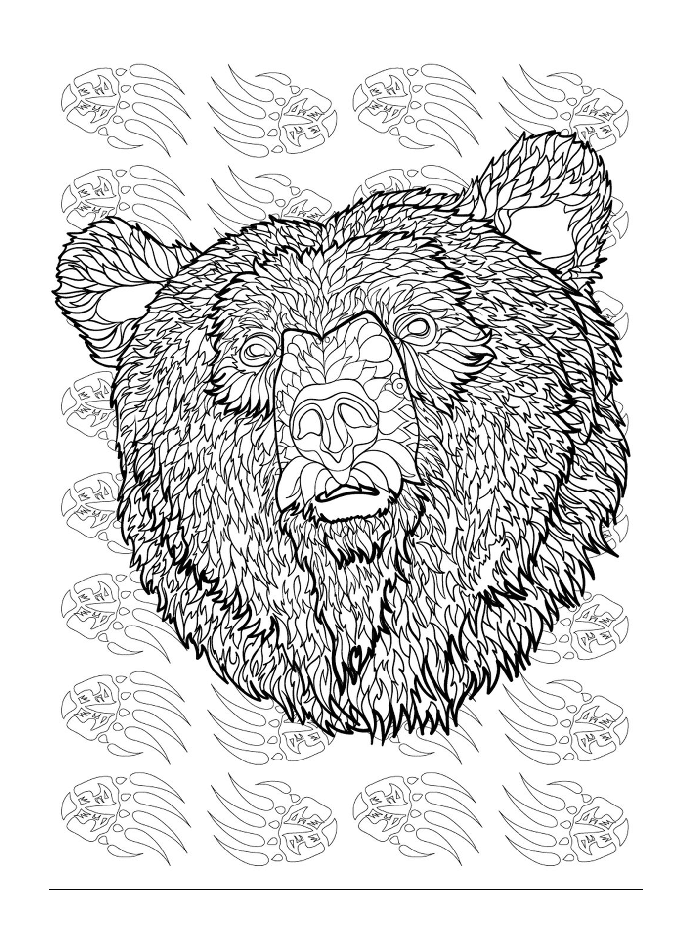  A cabeça de um urso 