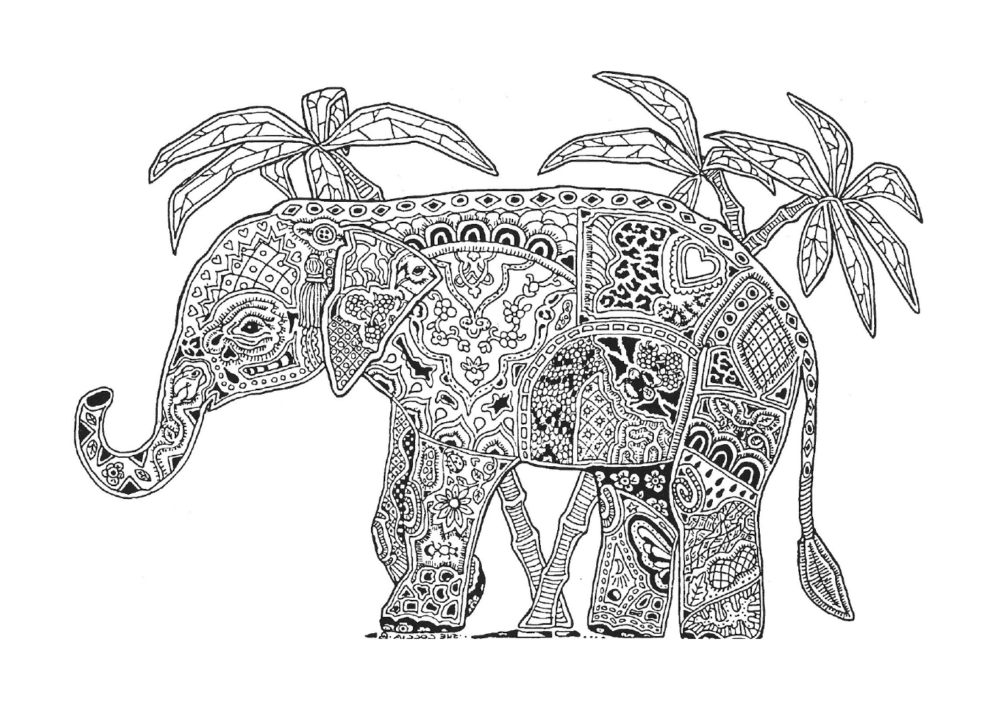  Um elefante ornamentado 