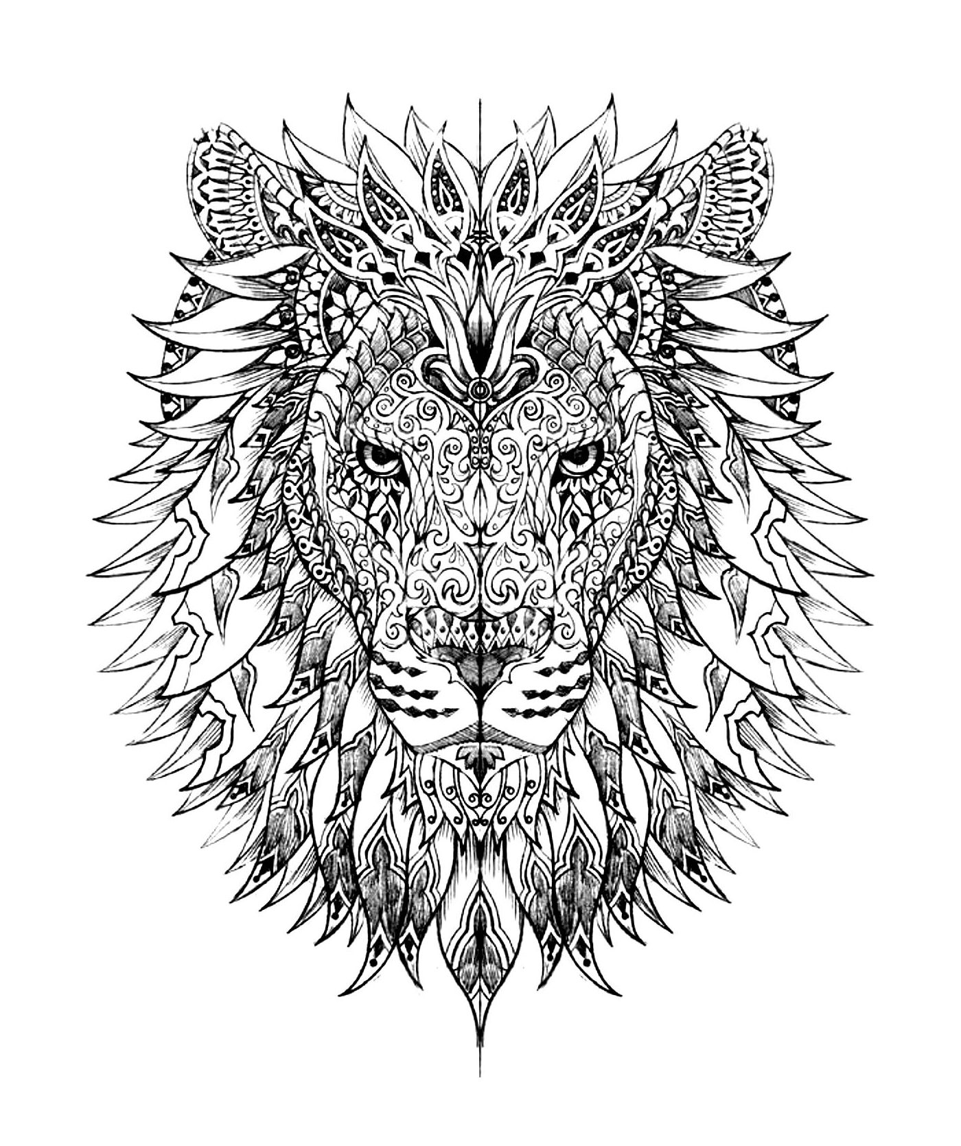  A cabeça de um leão complexo 