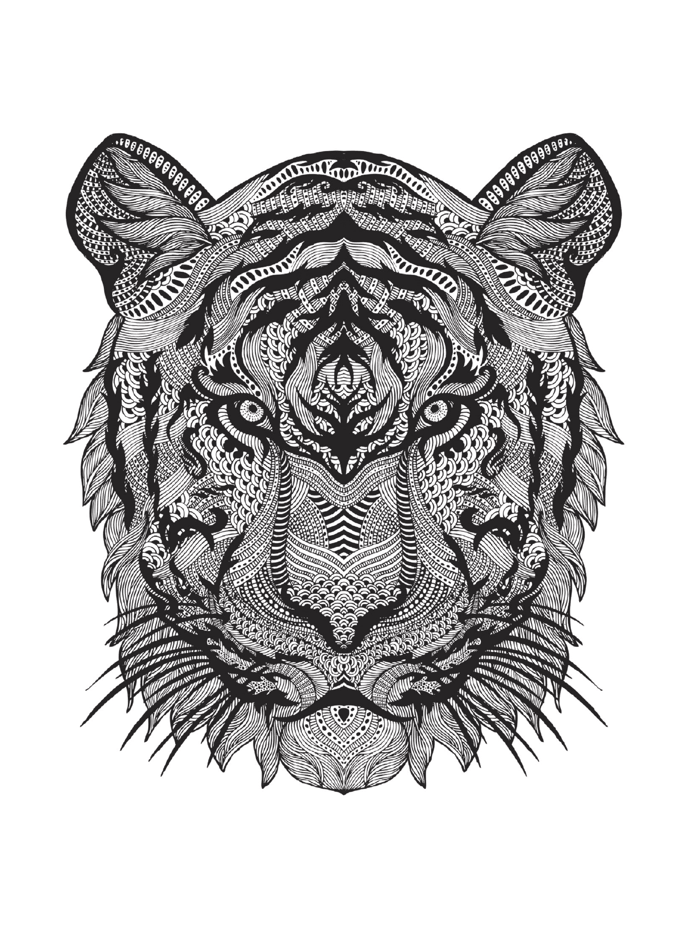  A cabeça de um tigre 