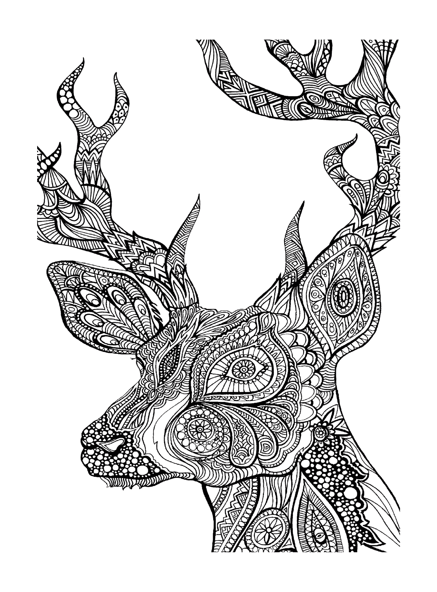  A cabeça de um cervo 