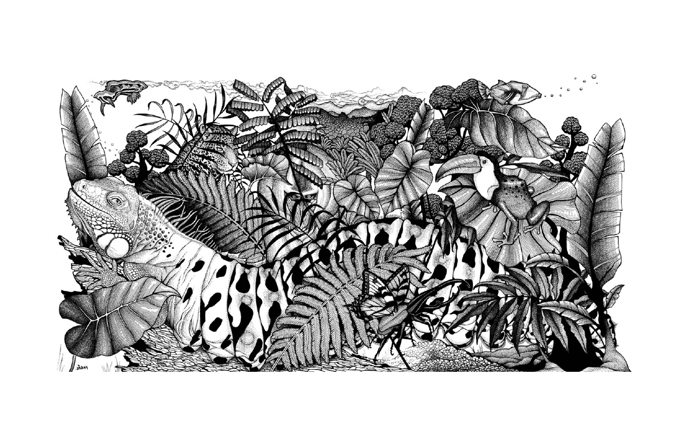  Uma selva com várias plantas 