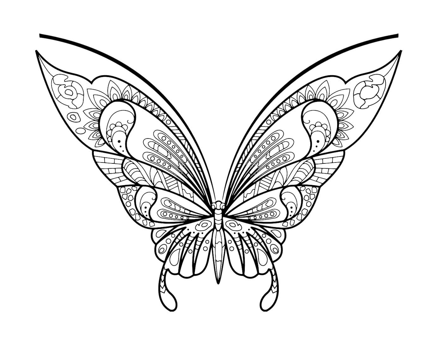  蝴蝶 
