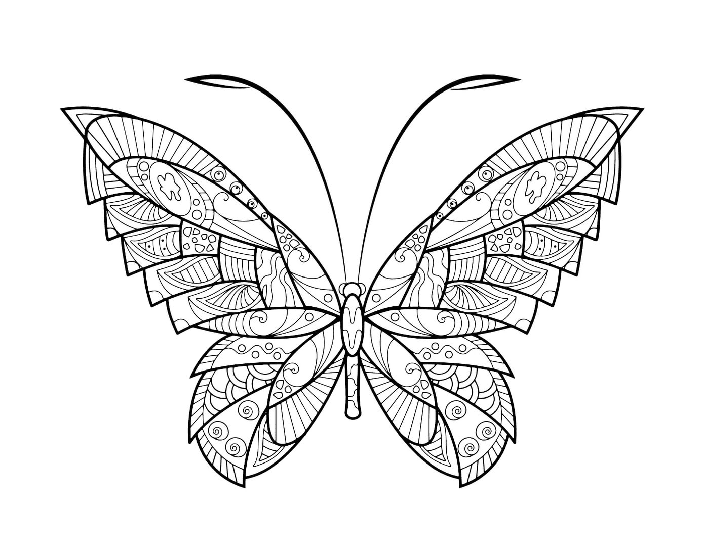  具有复杂形态的Zentangle 蝴蝶 