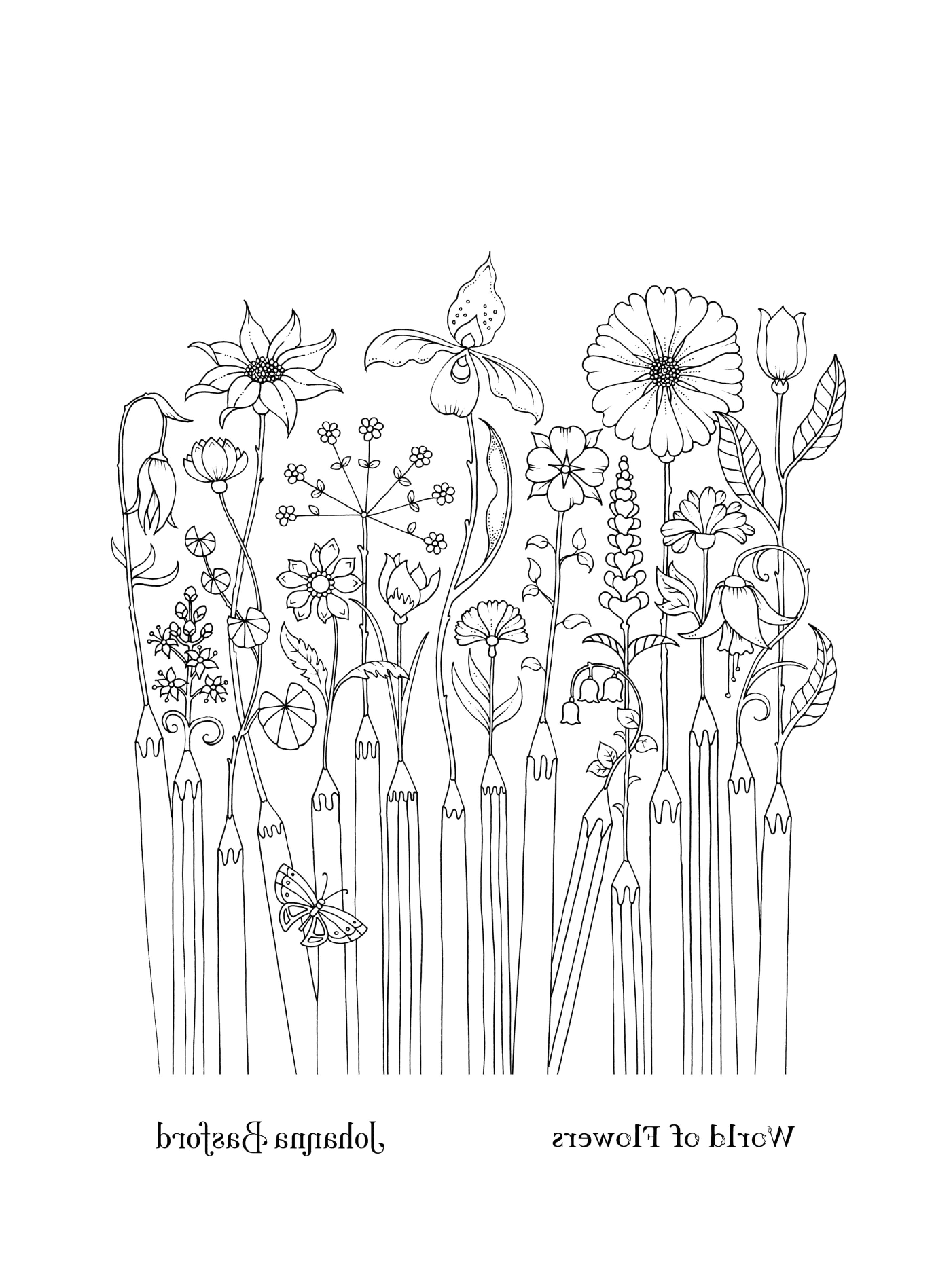  Uma infinidade de flores nesta página 