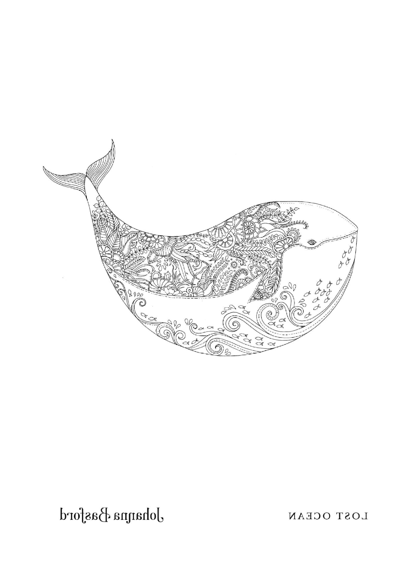  Uma baleia com um padrão floral 