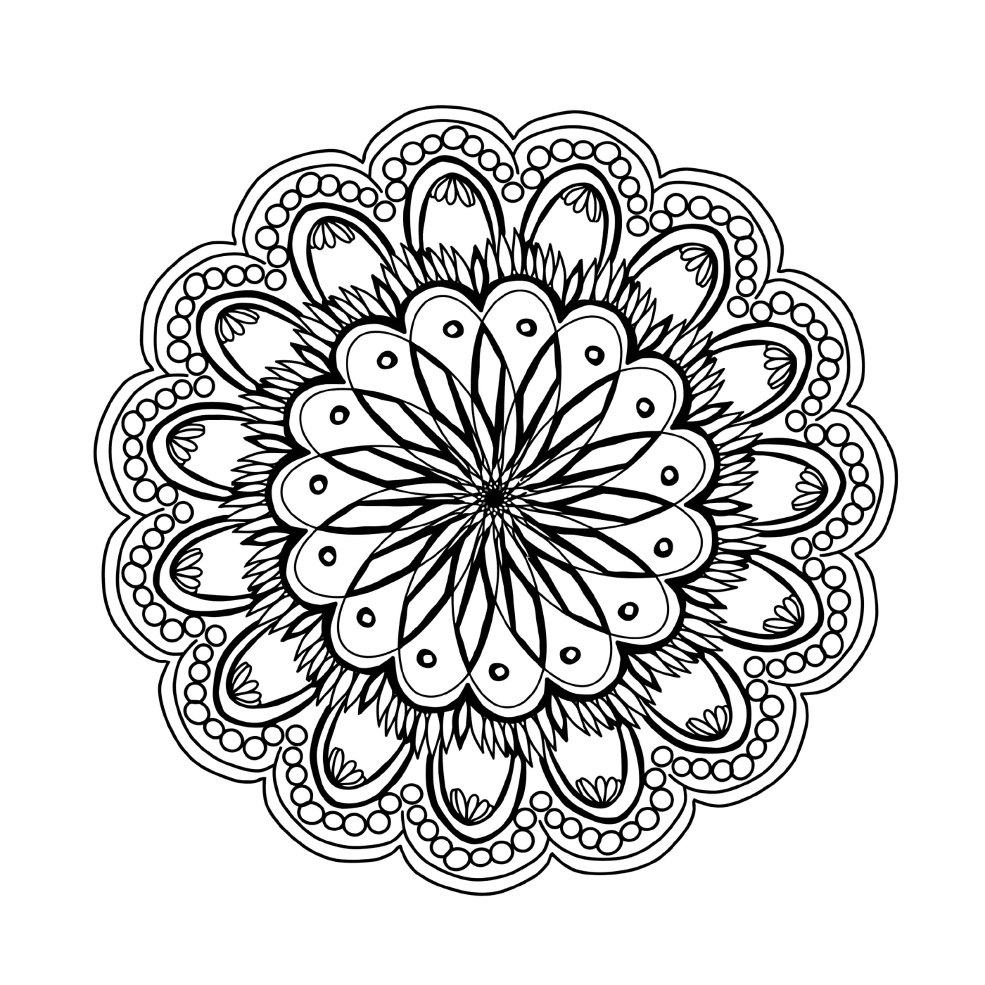  Uma flor com um padrão circular 