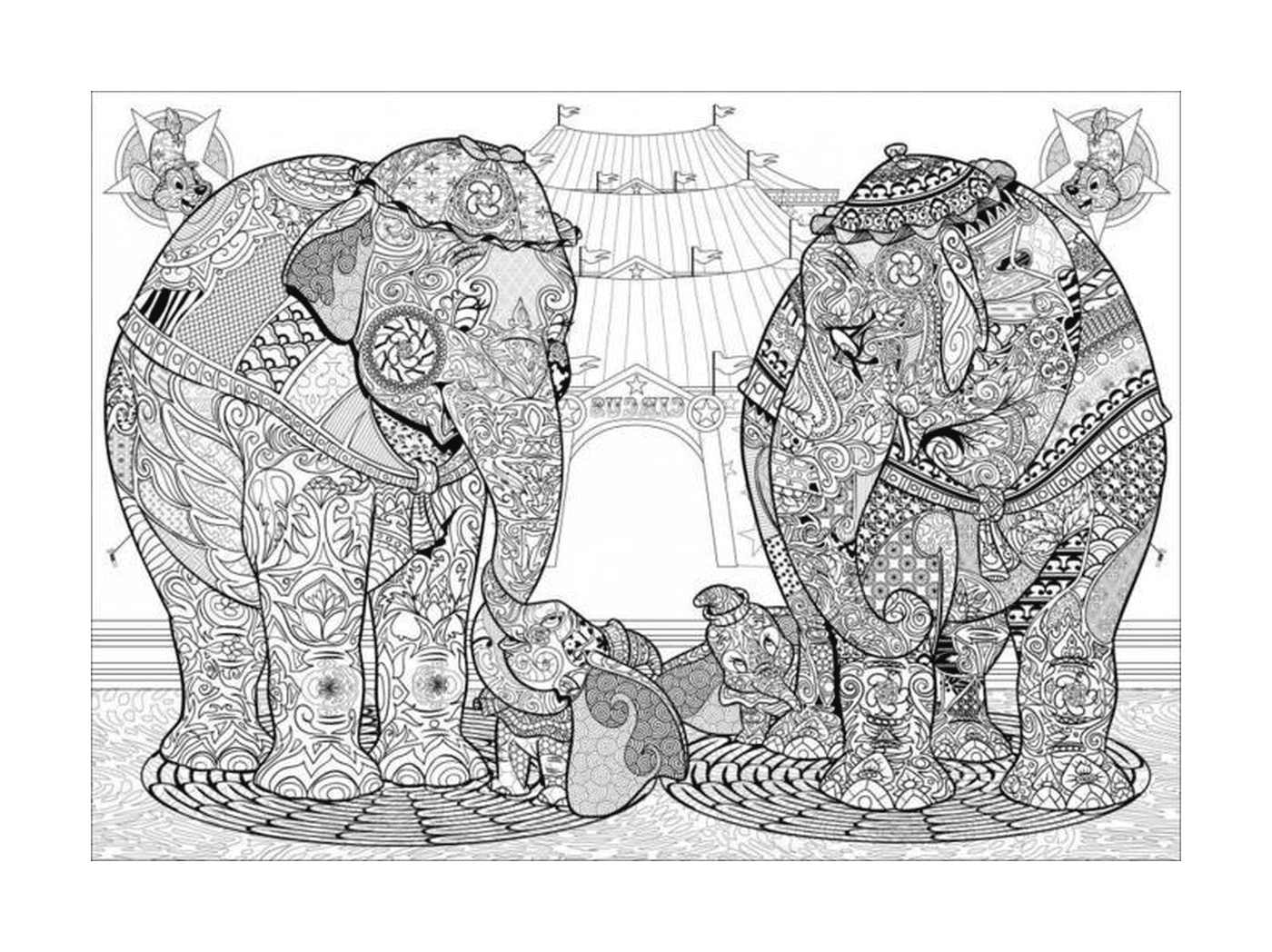  大象肩并肩站在一起 