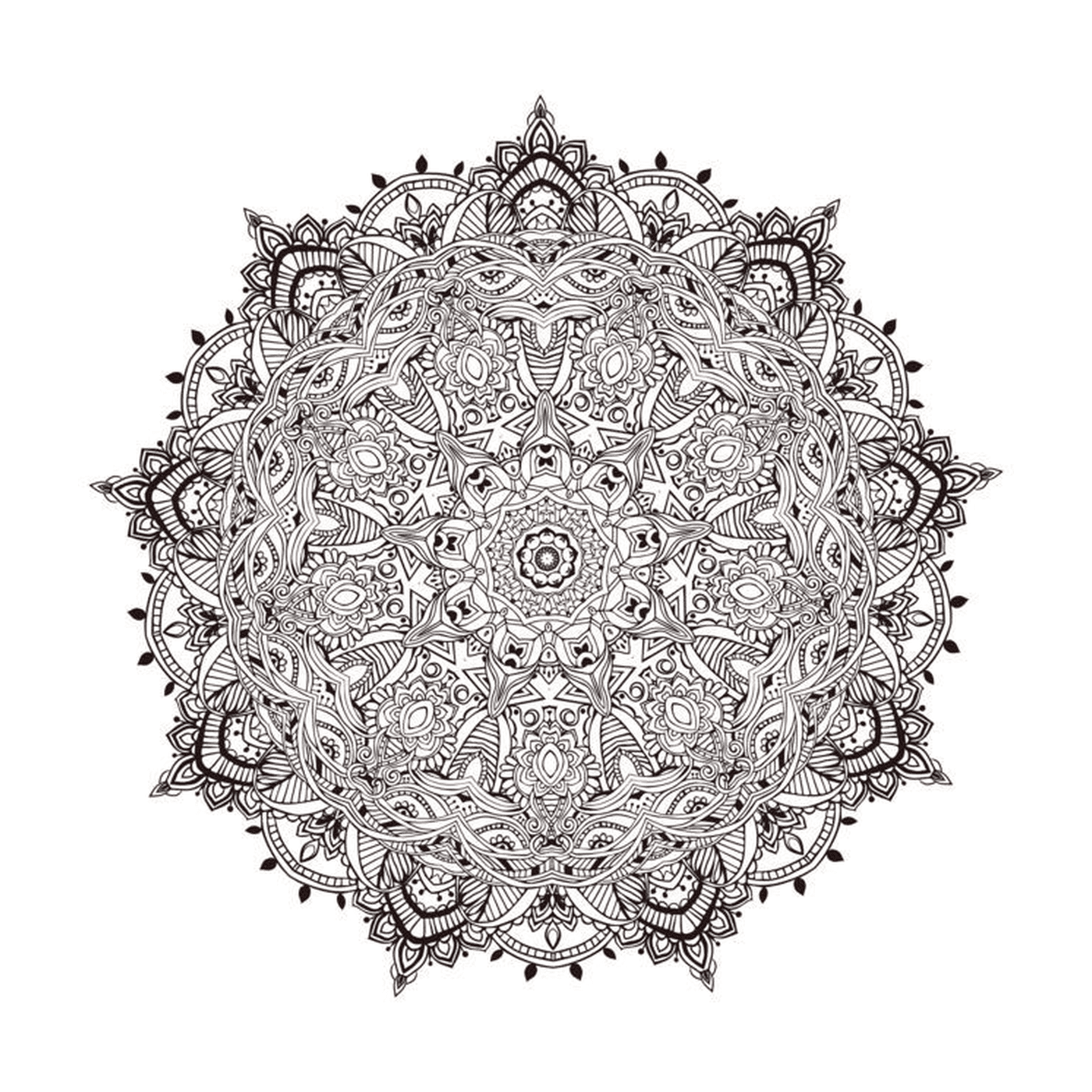  Mandala detalhada com motivo floral 
