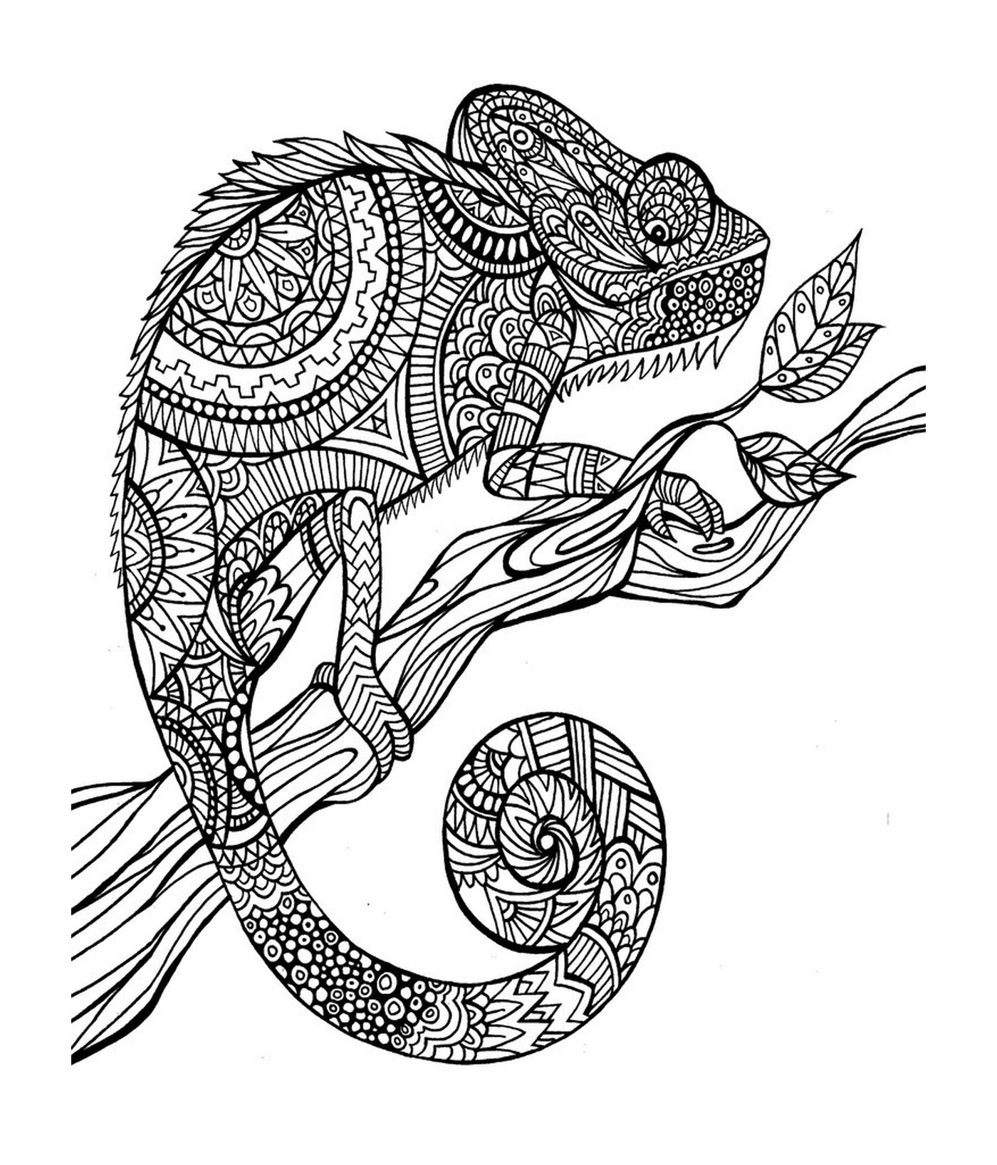  Um camaleão sentado em um ramo 