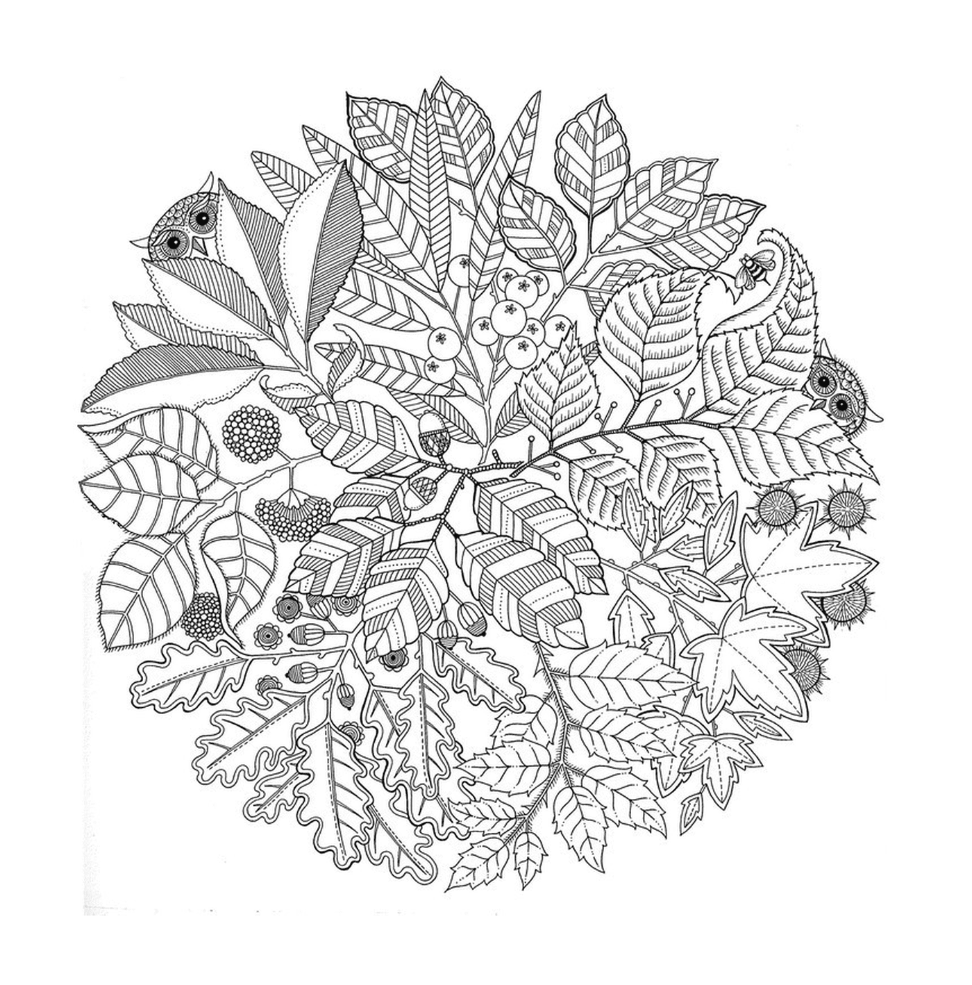 Um arranjo circular de folhas 
