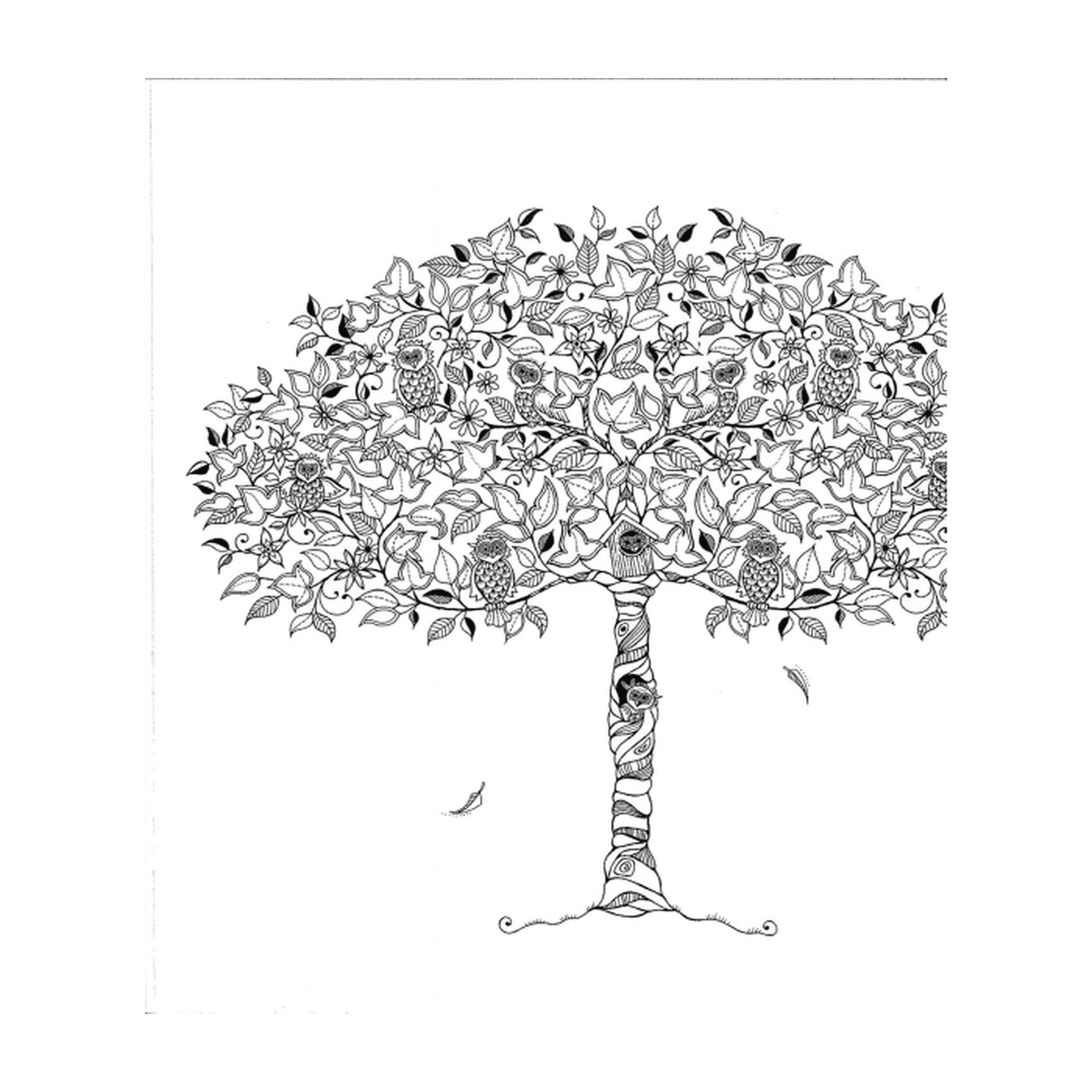  供成人印刷的一棵生命树 
