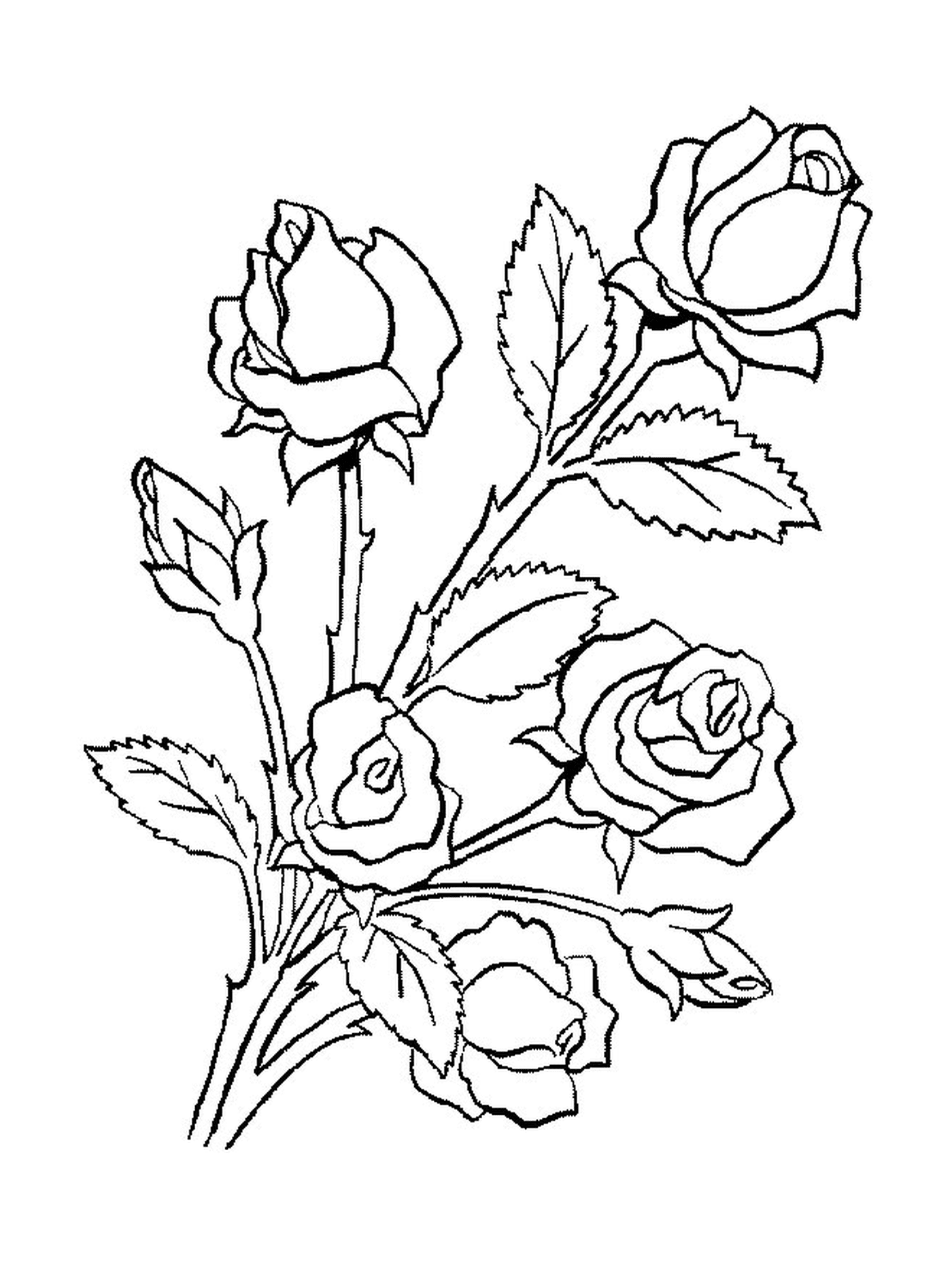  Uma rosa com folhas e flores 