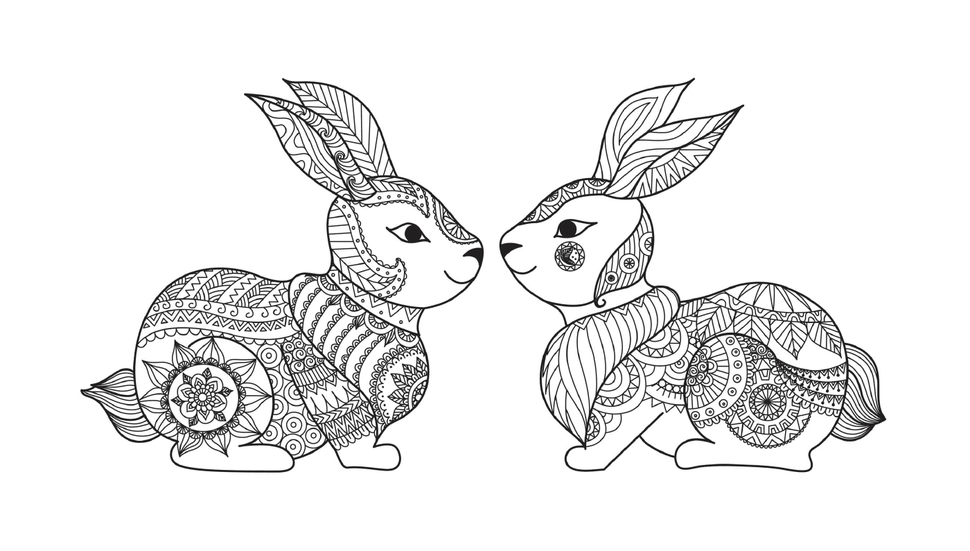 Dois coelhos sentados na grama