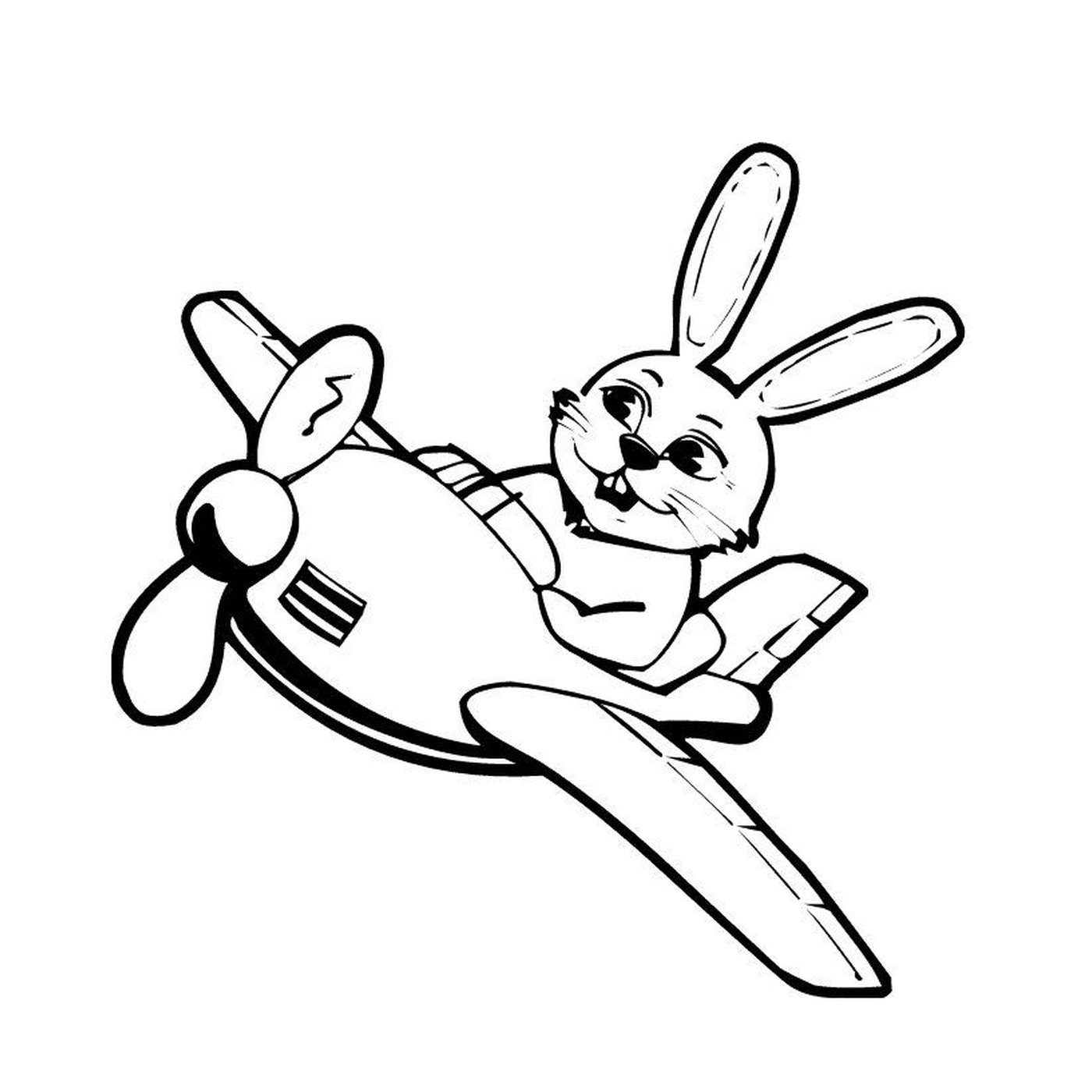  Um avião com um coelho nele 