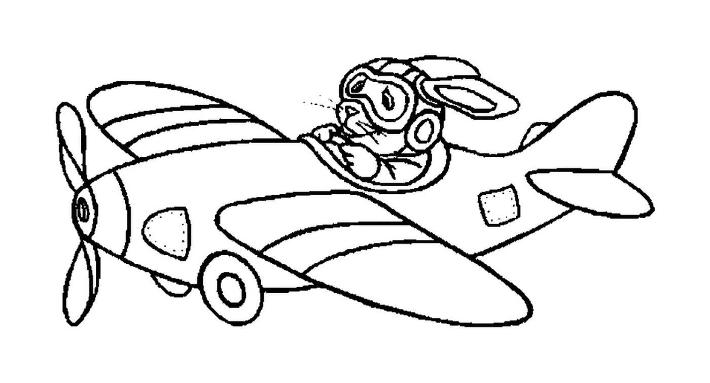  Um coelho está voando um avião 