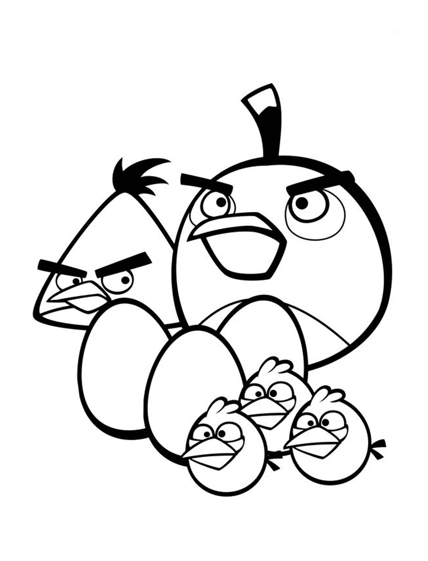  Angry Birds - Pequena família de pássaros 