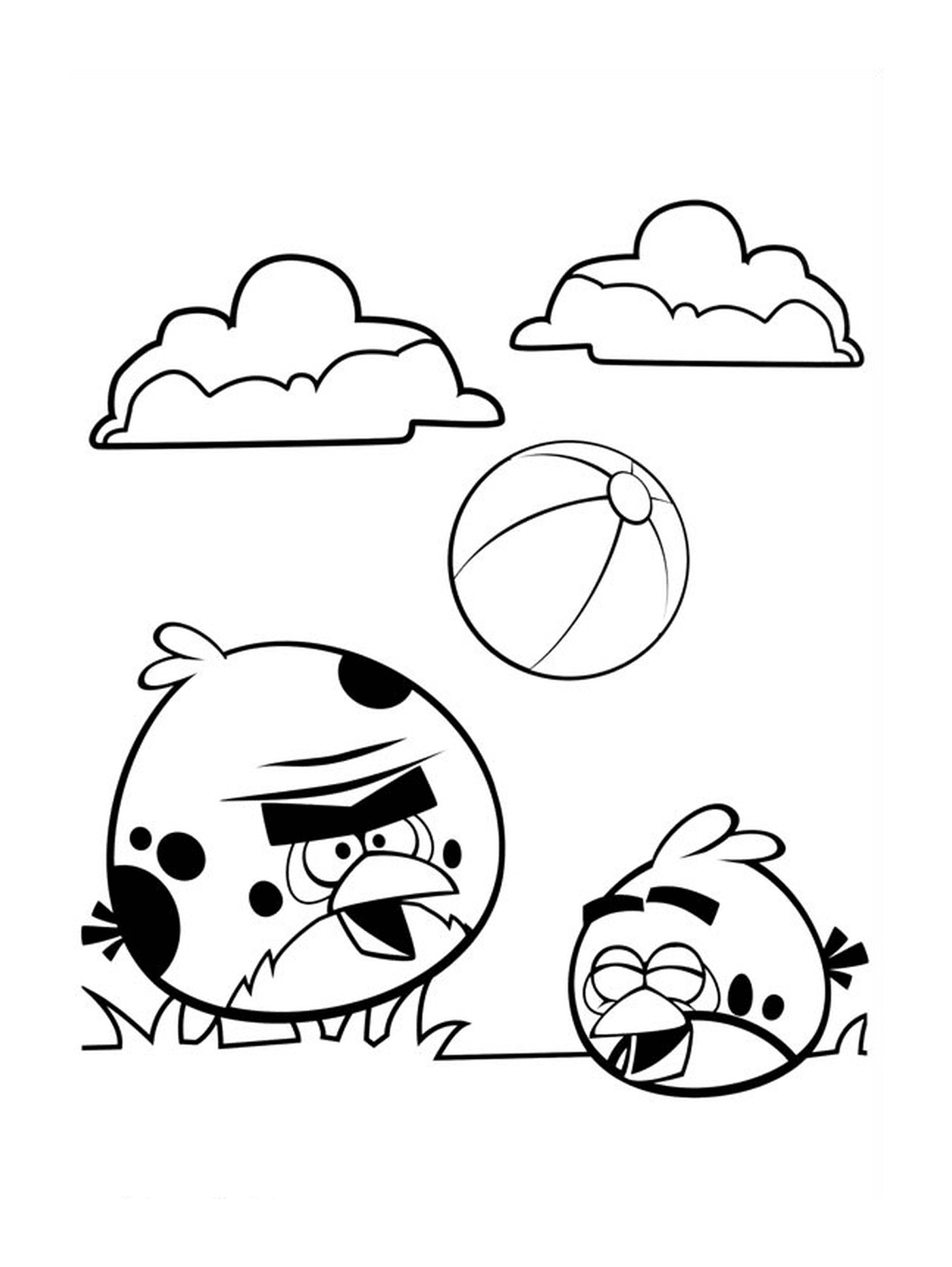  Angry Birds jogar futebol 