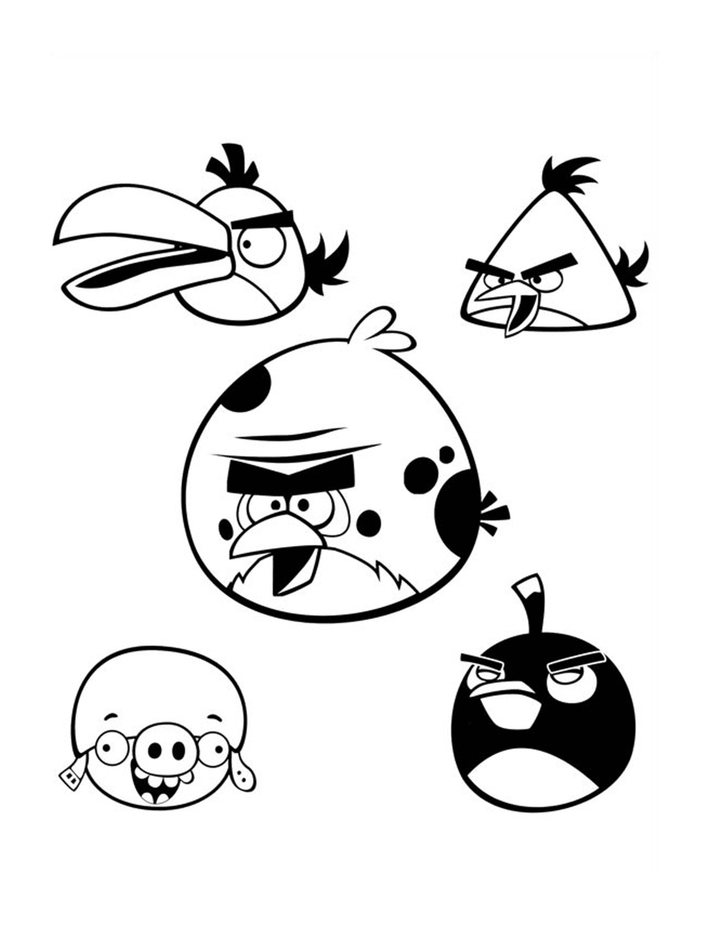  Equipe de cinco Angry Birds no ar 
