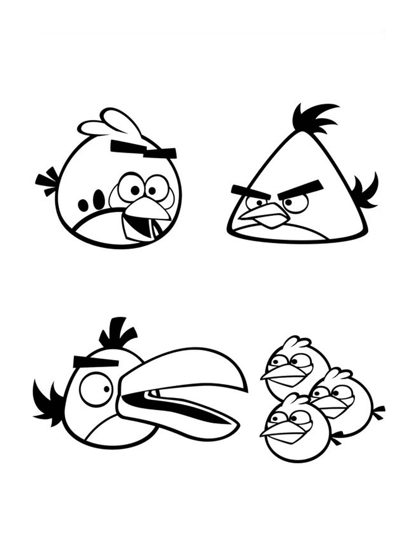  Angry Birds 