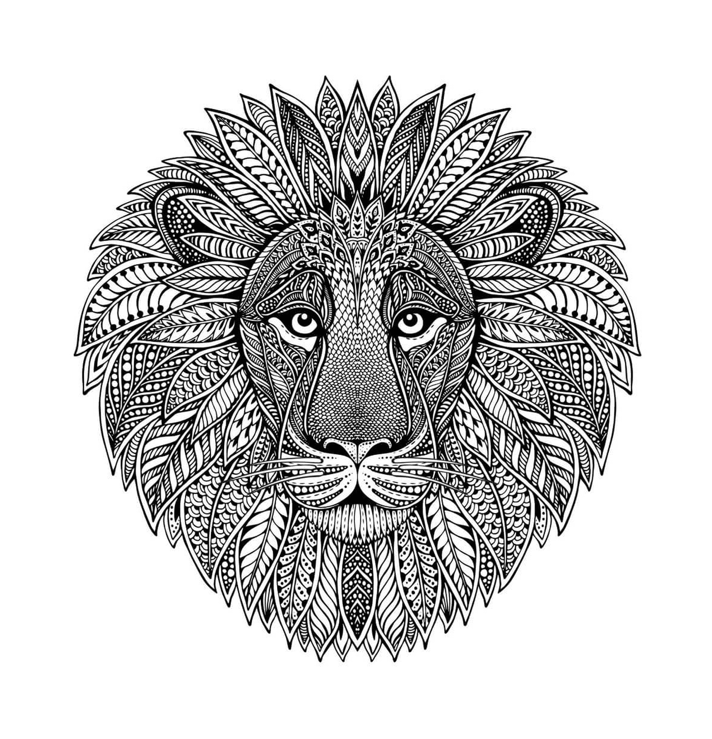  cabeça de leão 