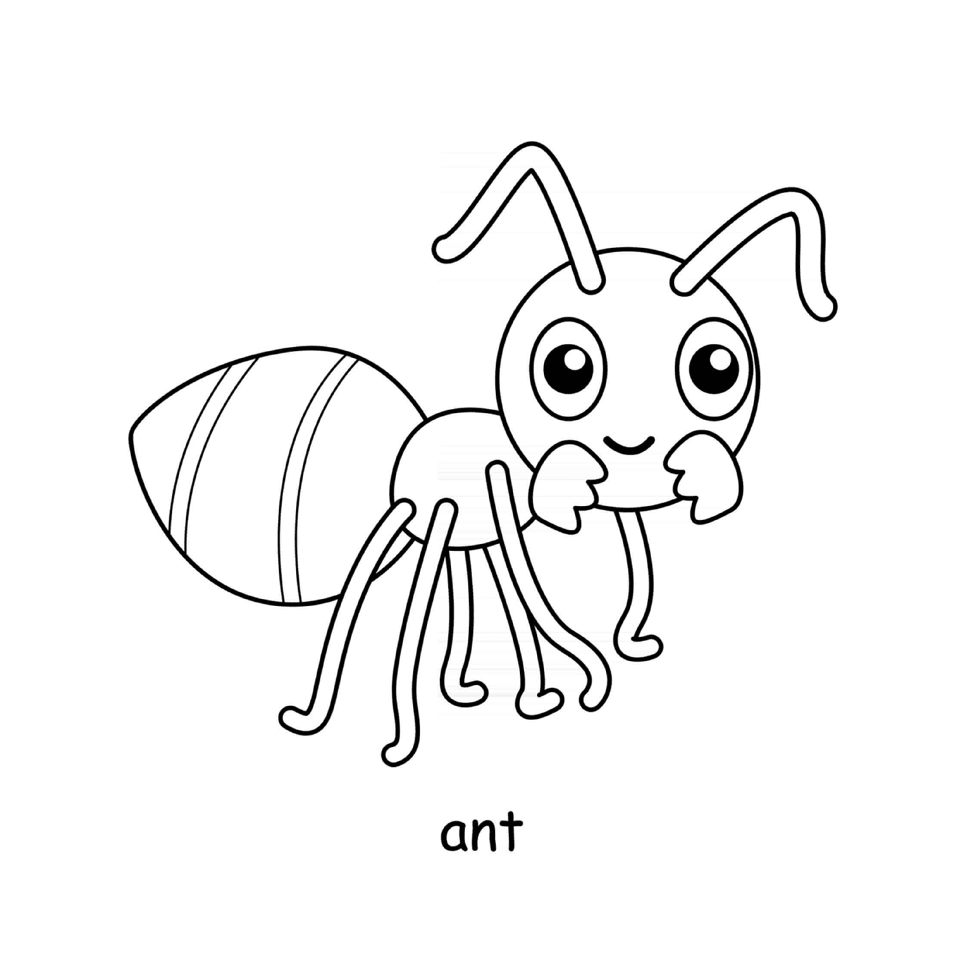 ant 