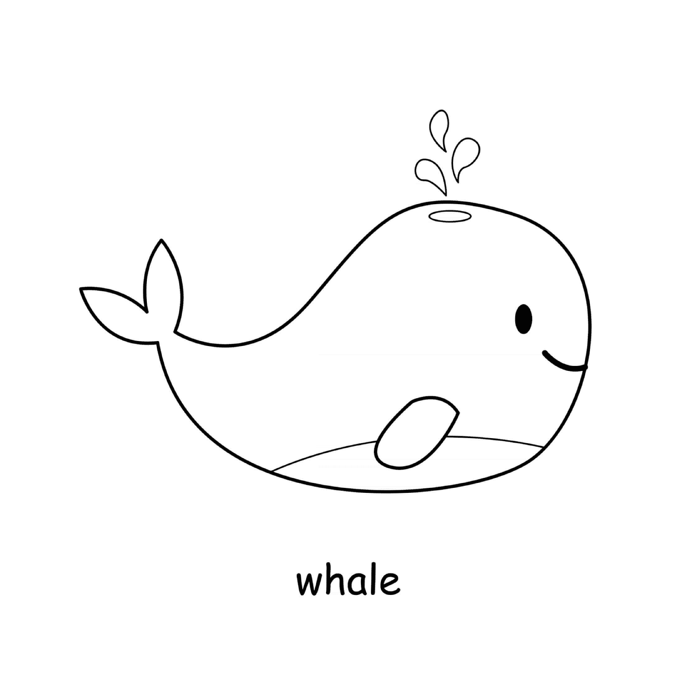  baleia-mamífero marinho 