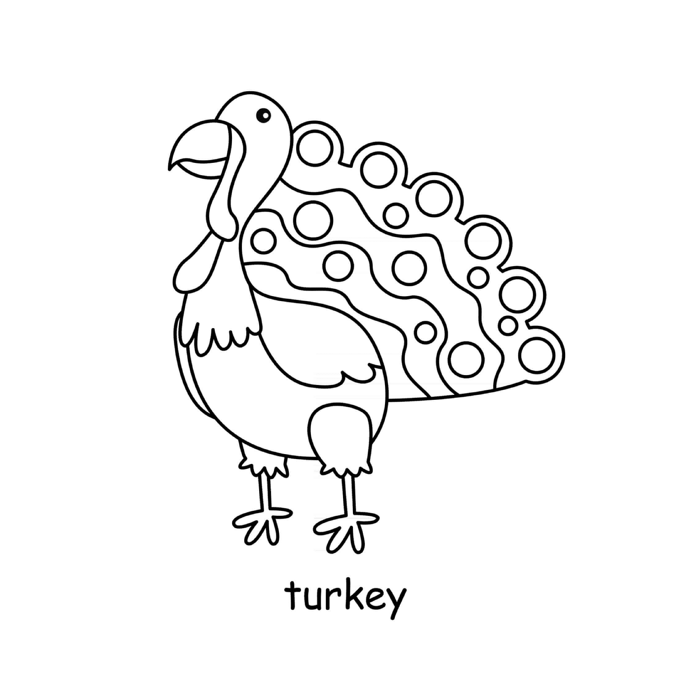  Turquia pássaro Turquia pássaro Turquia 