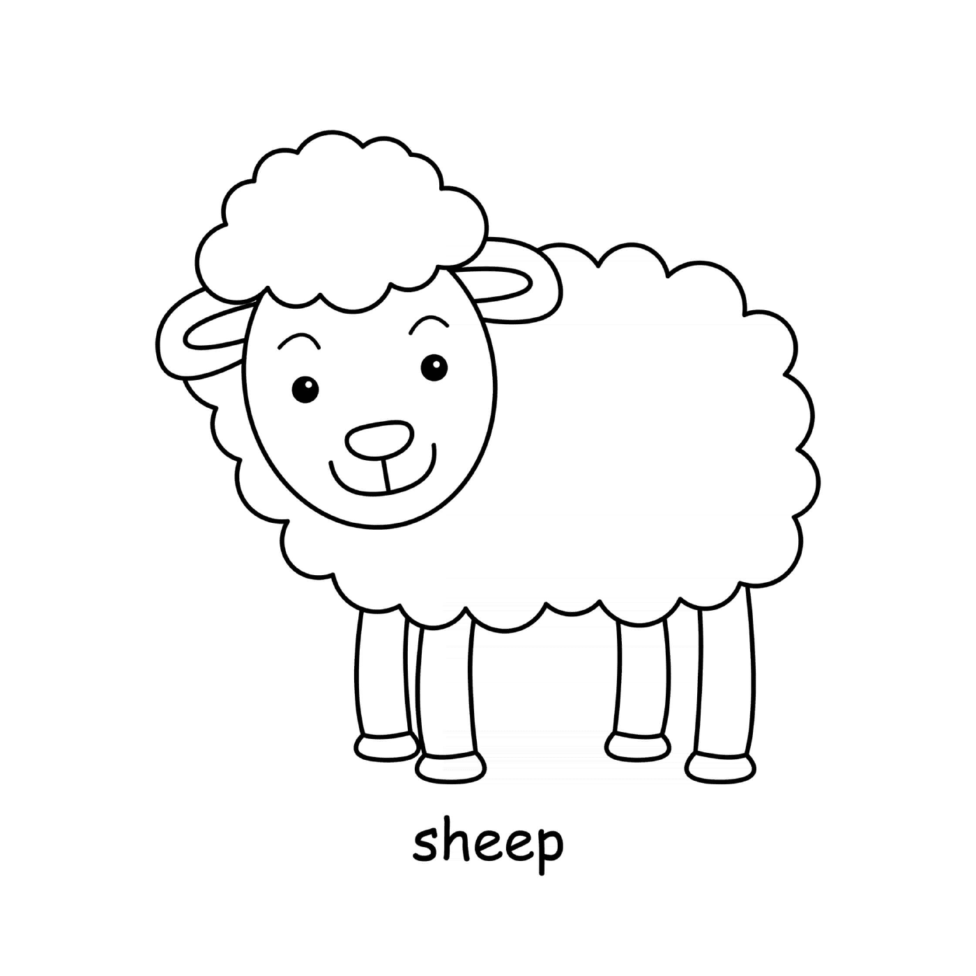  农场的动物羊 