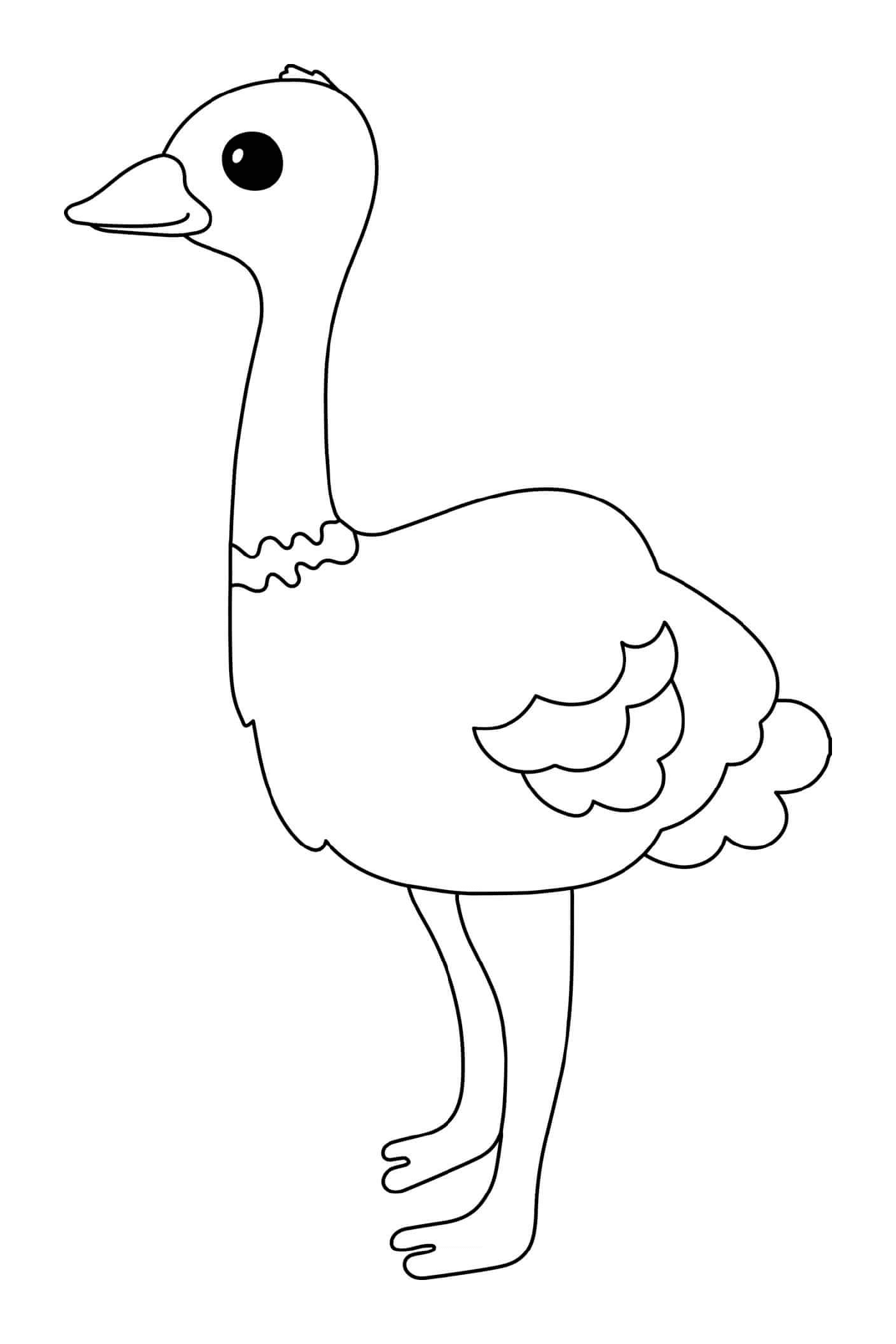  aves avestruz 