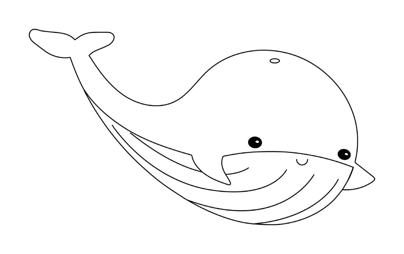  可爱的海洋动物鲸 
