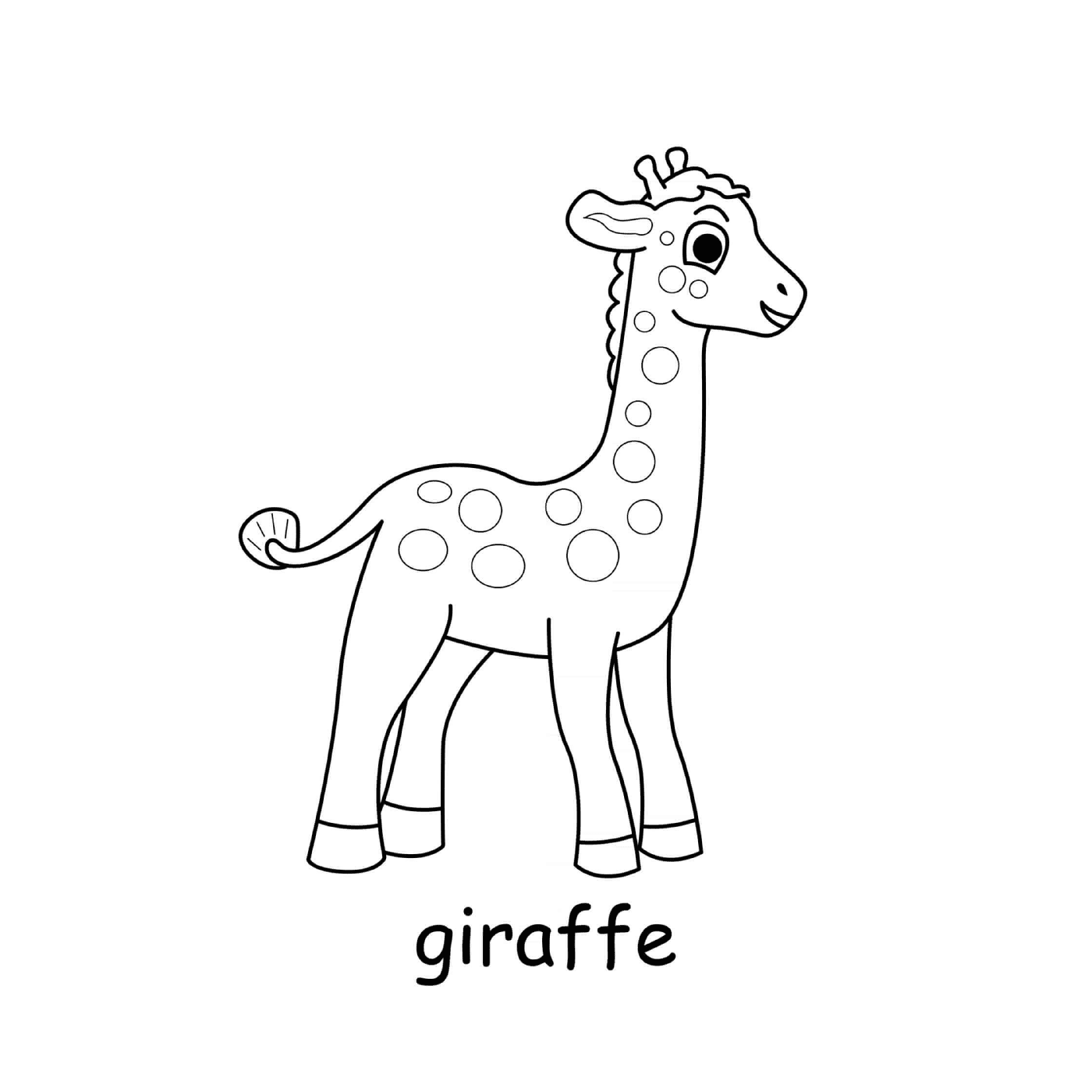  Girafe da savana africana 