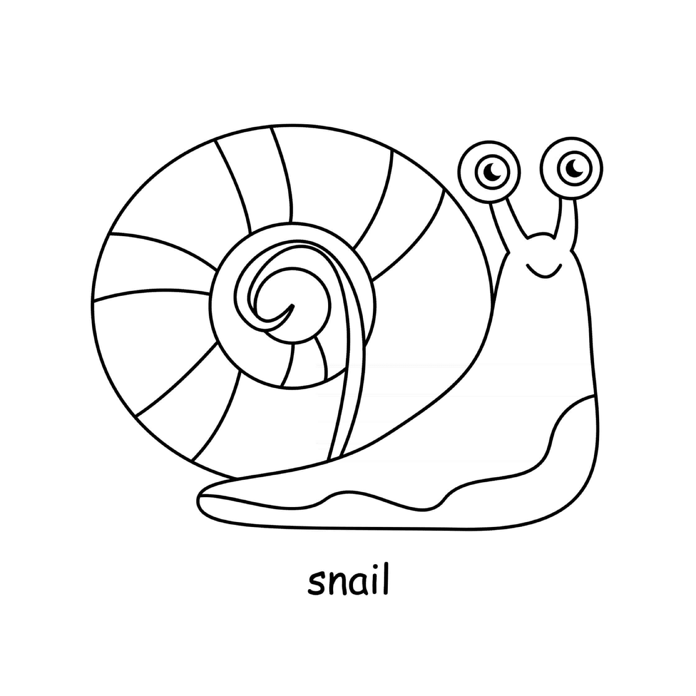  甜食蜗牛 