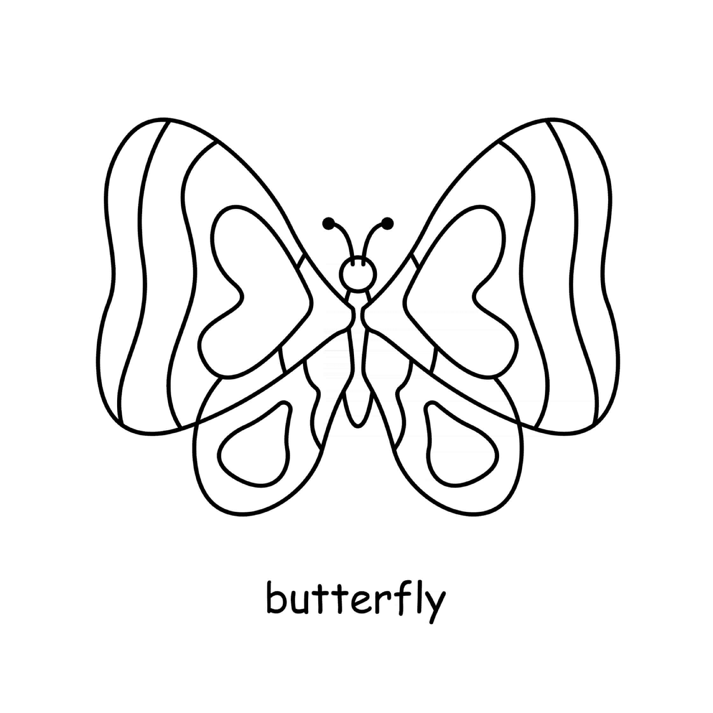  简单的蝴蝶 