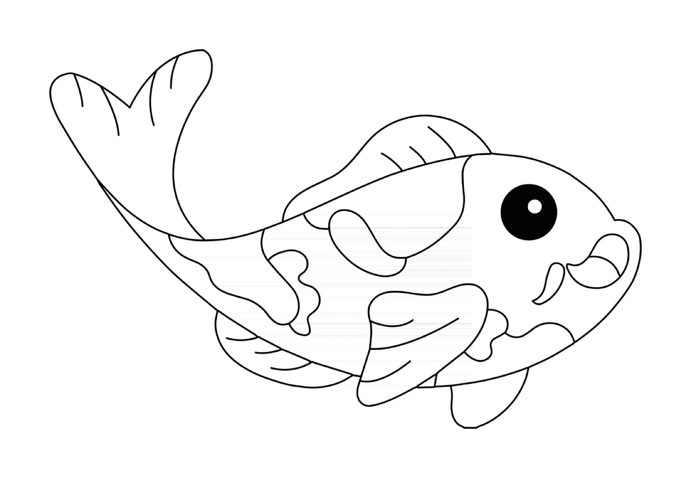 Peixe carp koi 