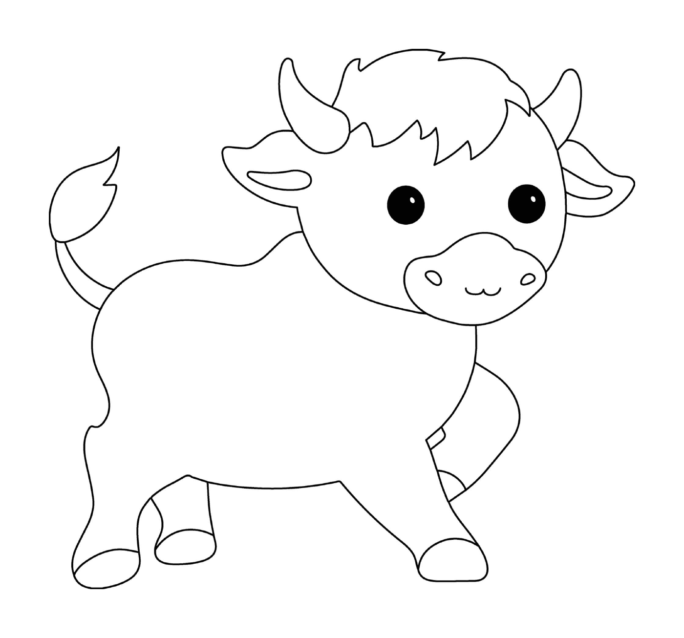  gado bovino bovino 