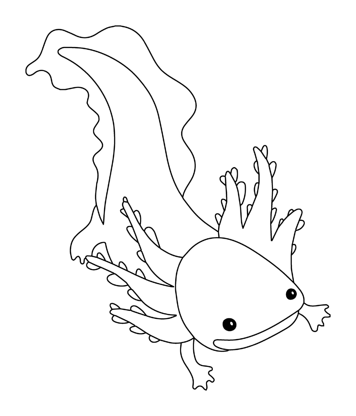  Axolotl nunca metamorfoseando 