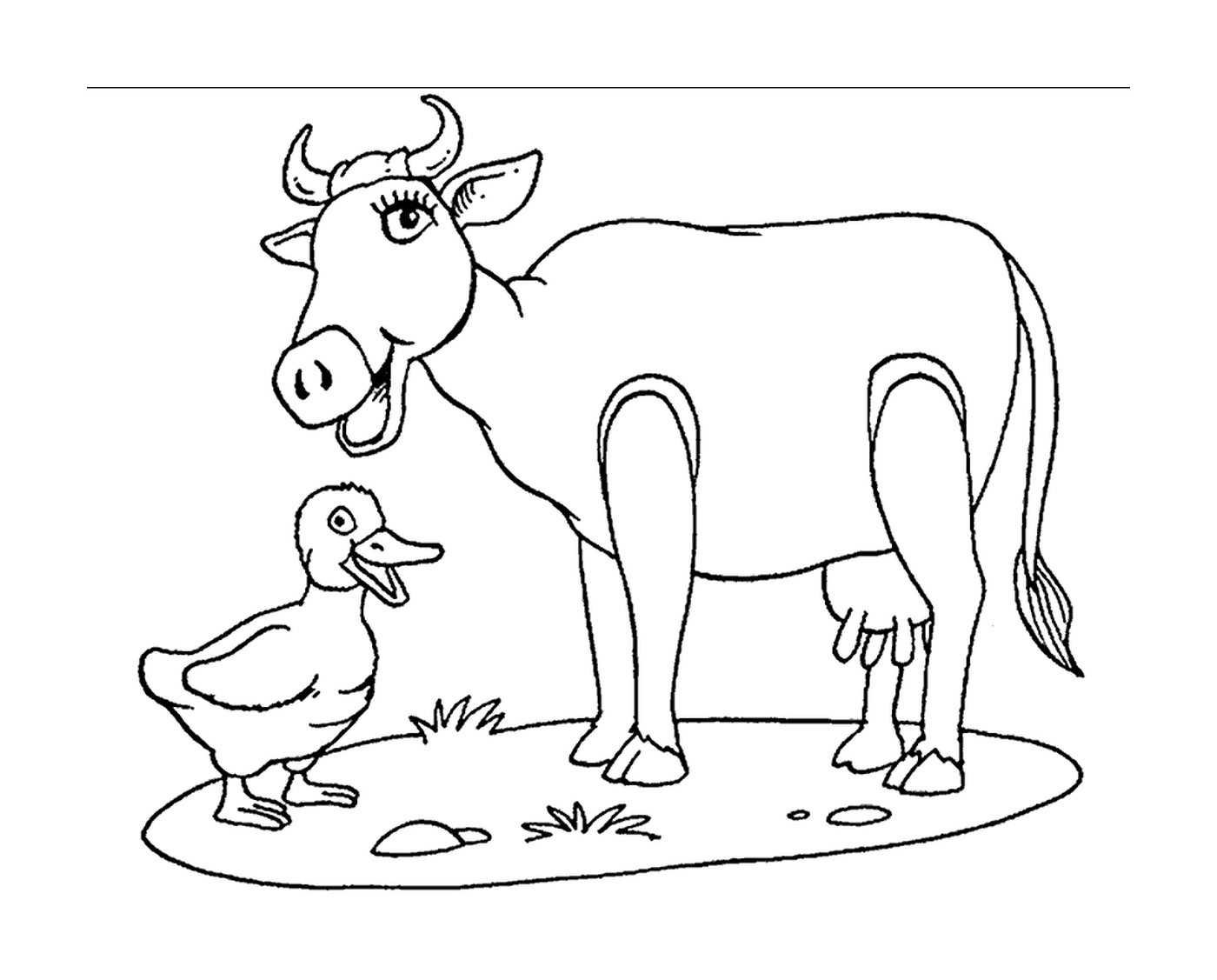 Uma vaca com um pato 