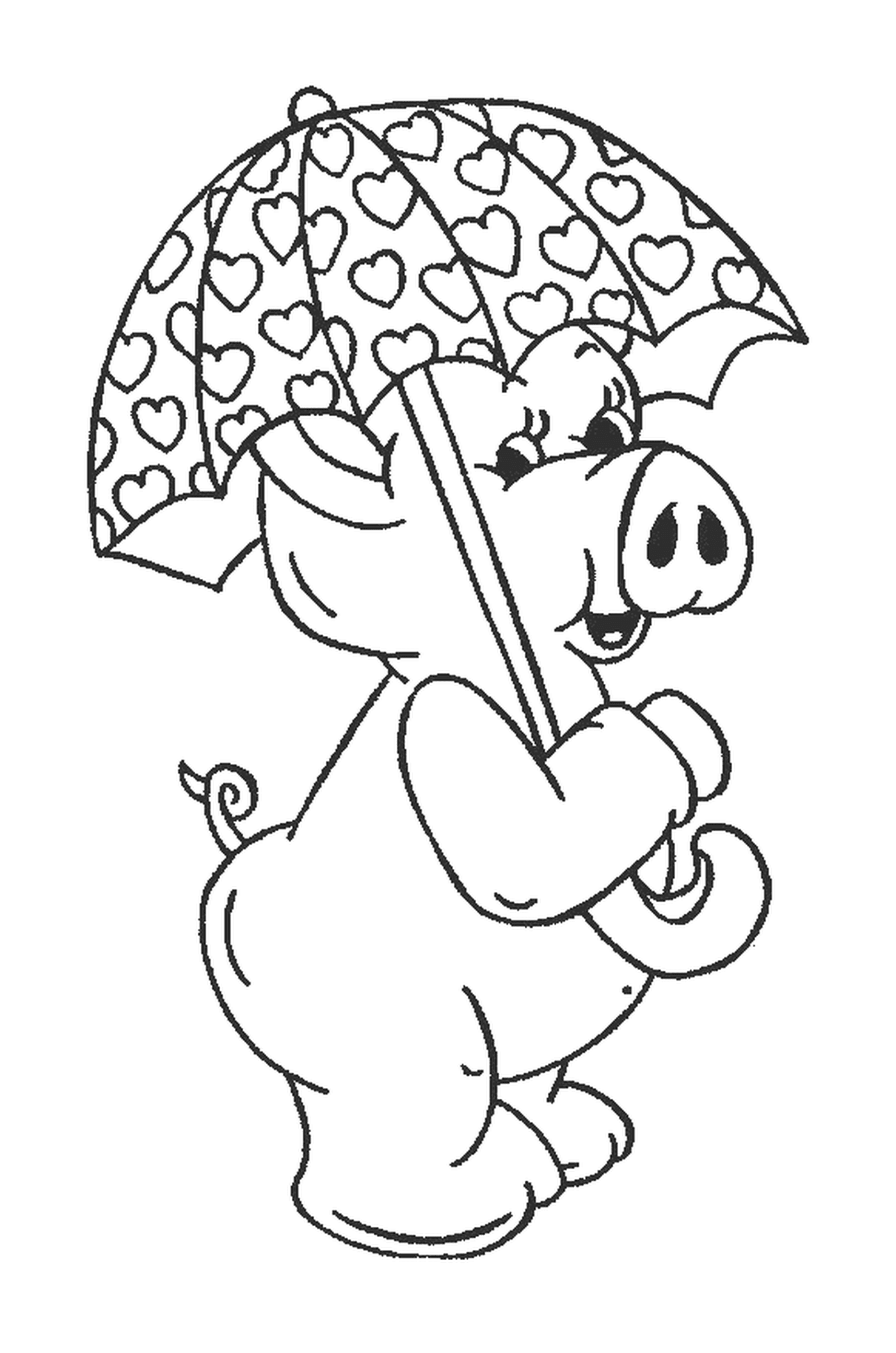  خنزير يحمل مظلة في فمه 