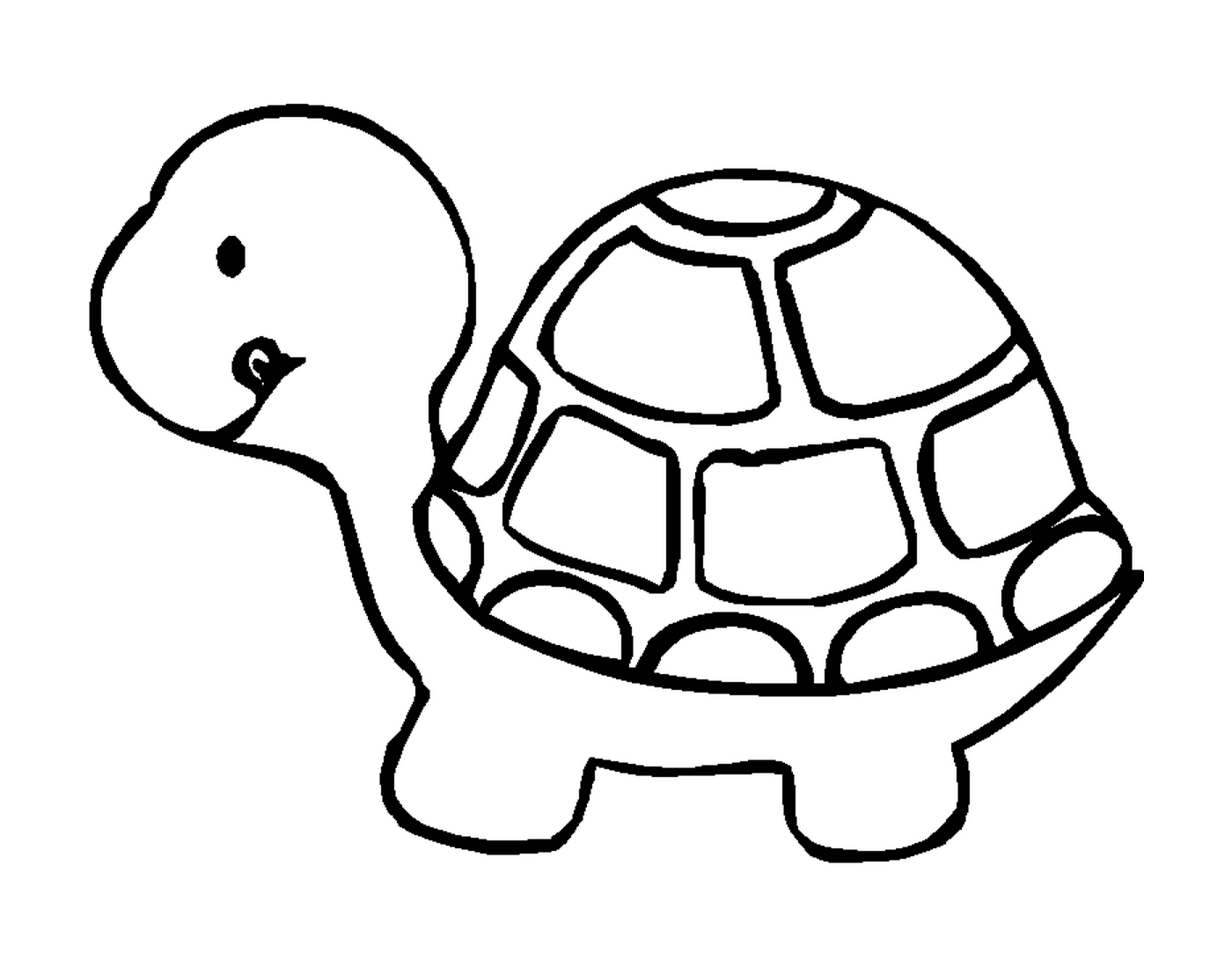  Uma tartaruga perfil 