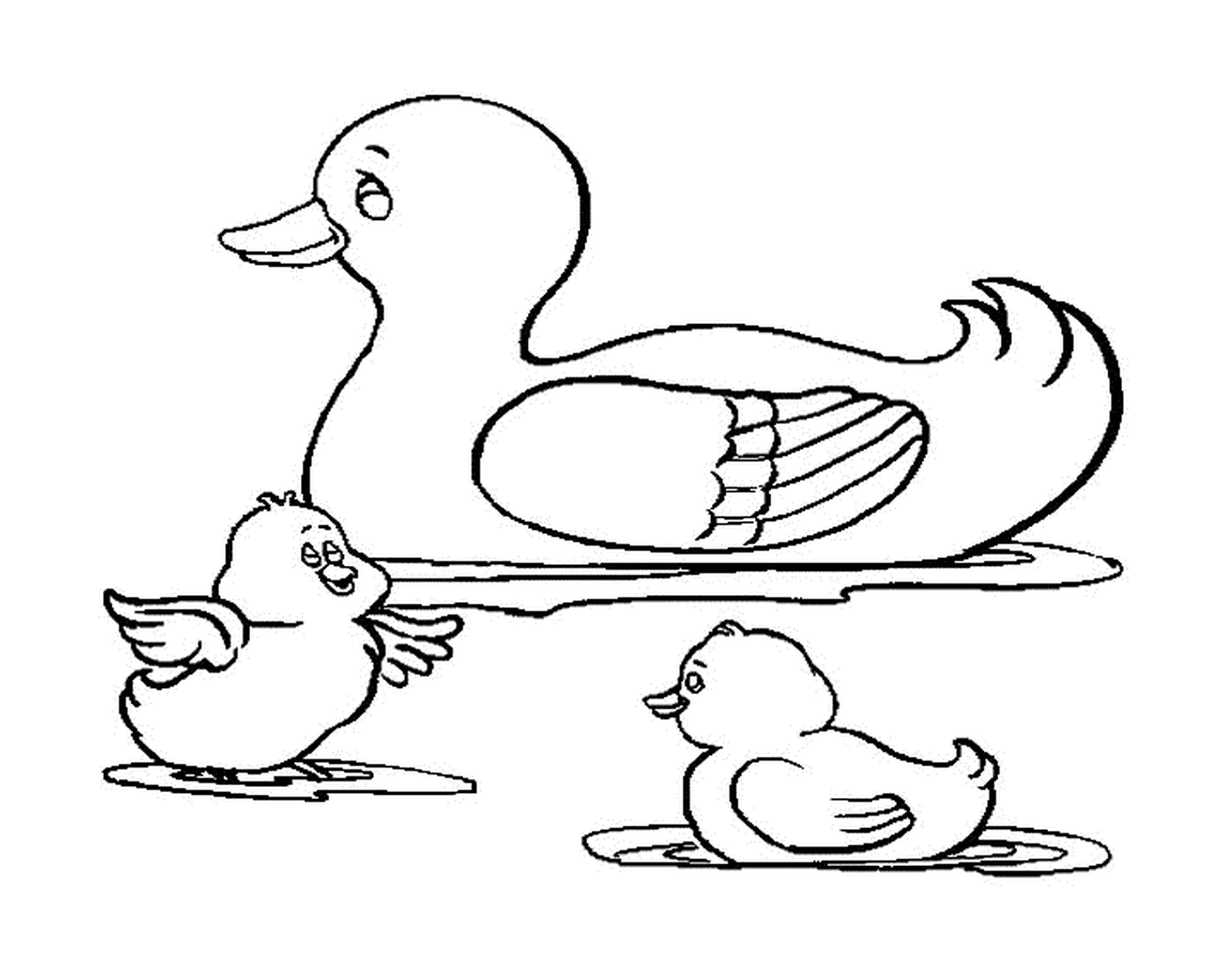  鸭子和两只鸭子 