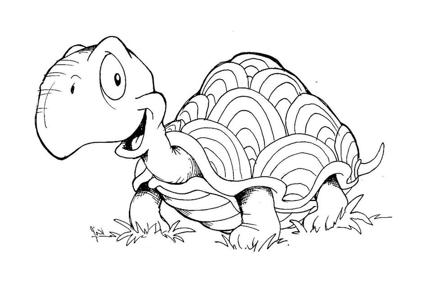  Uma tartaruga na grama 