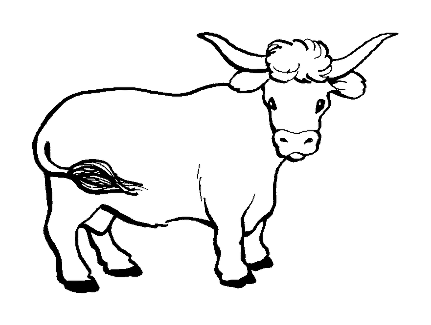 गाय 