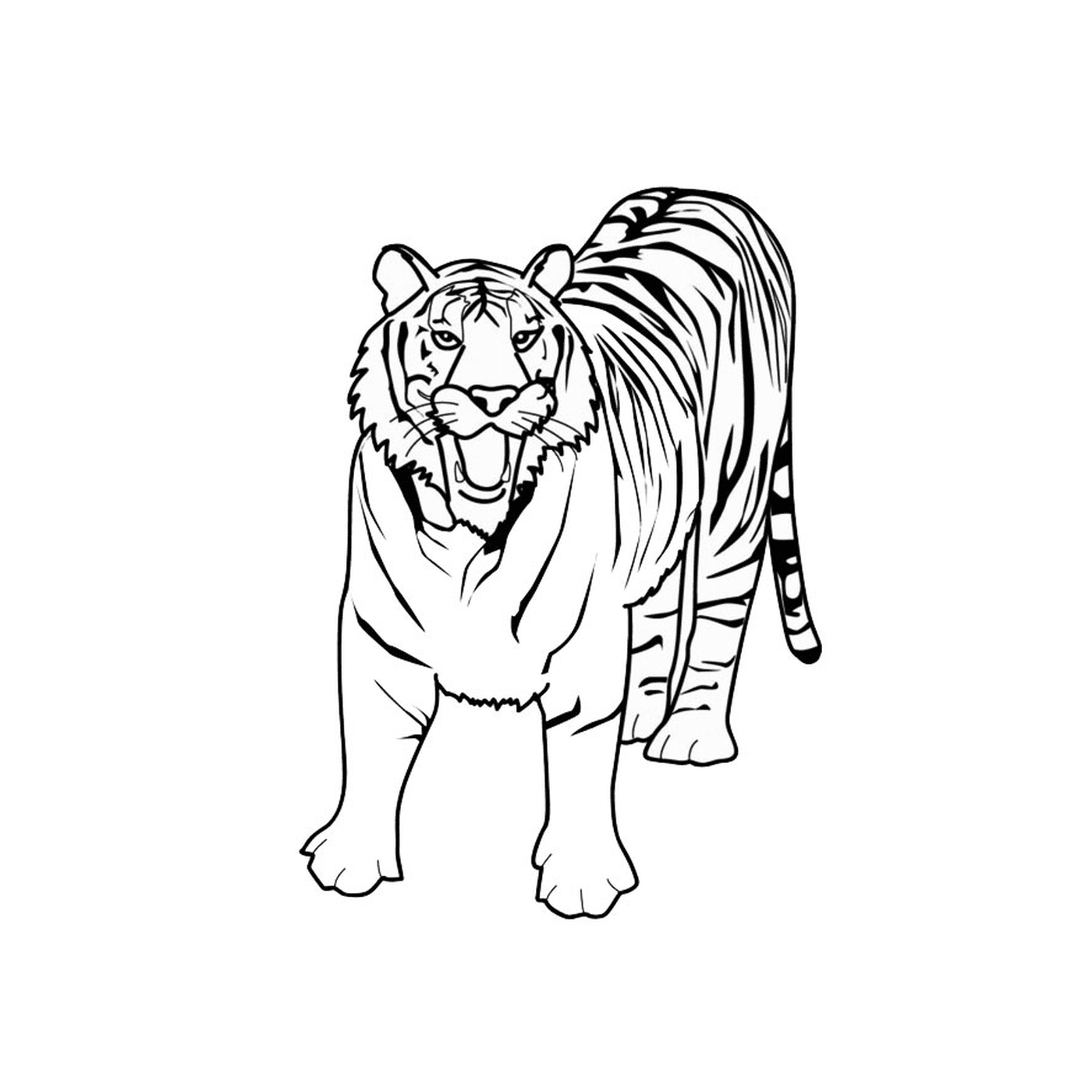  एक बाघ 