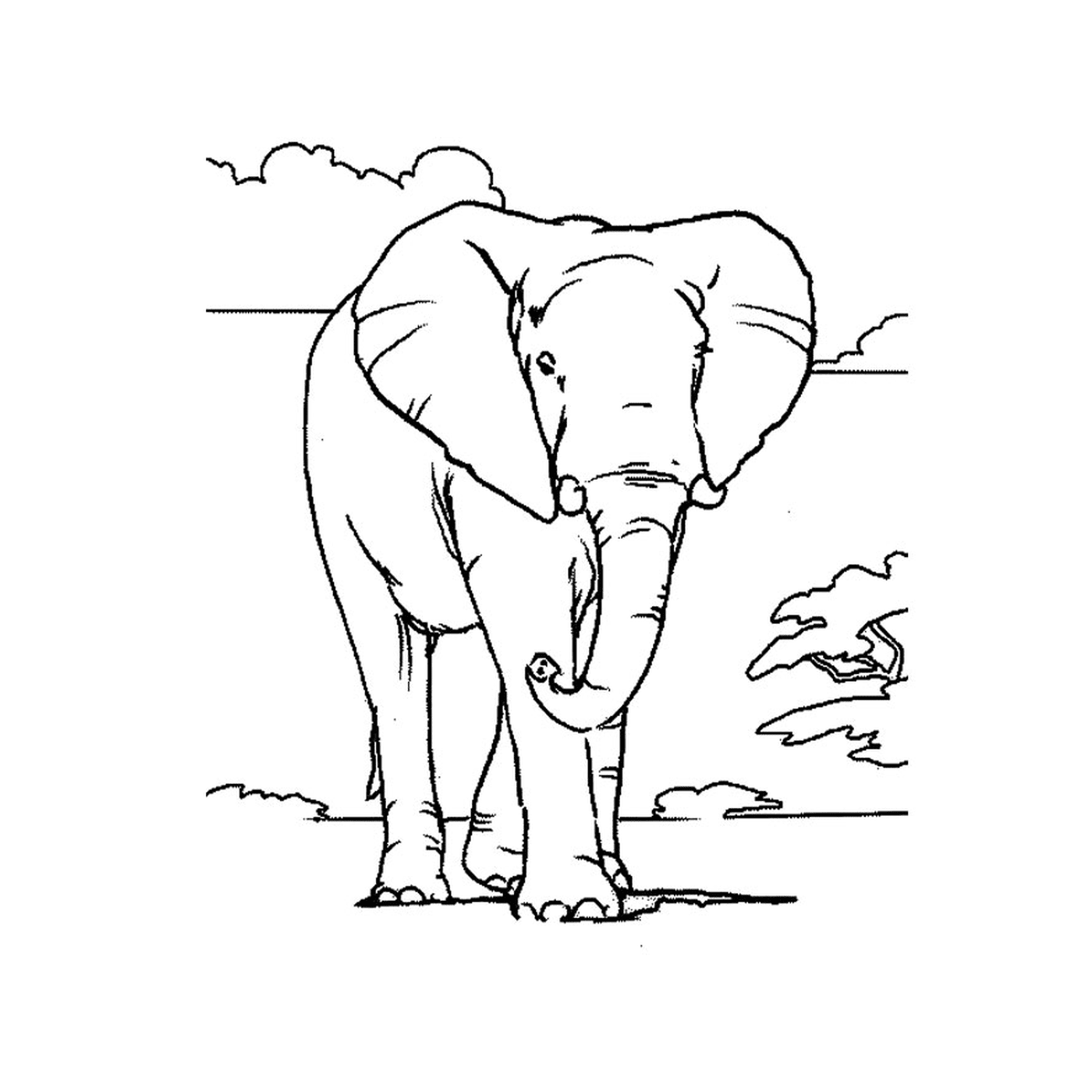  एक हाथी बादल से भरा आकाश के सामने खड़ा है 