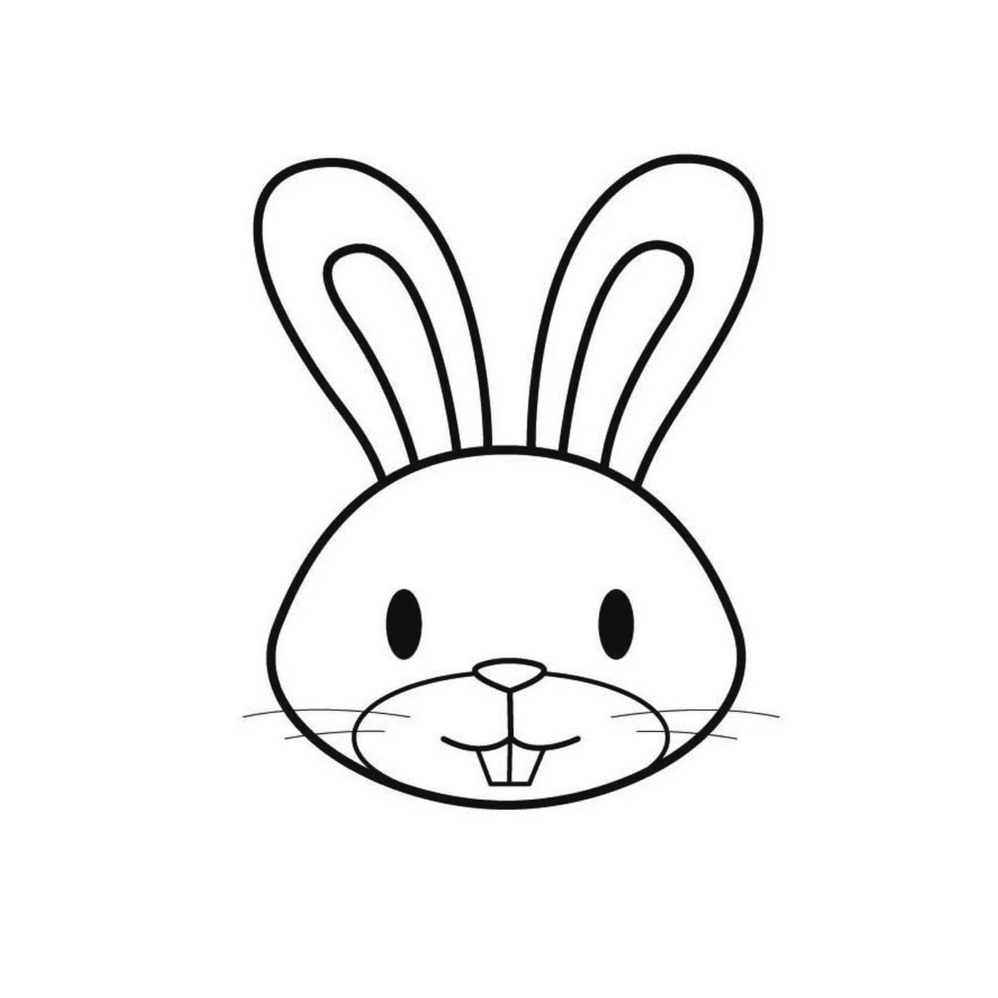  O rosto de um coelho 