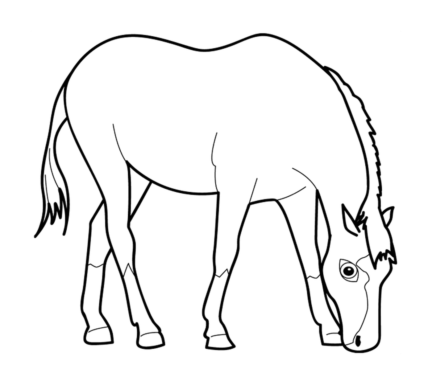  Um cavalo comendo 
